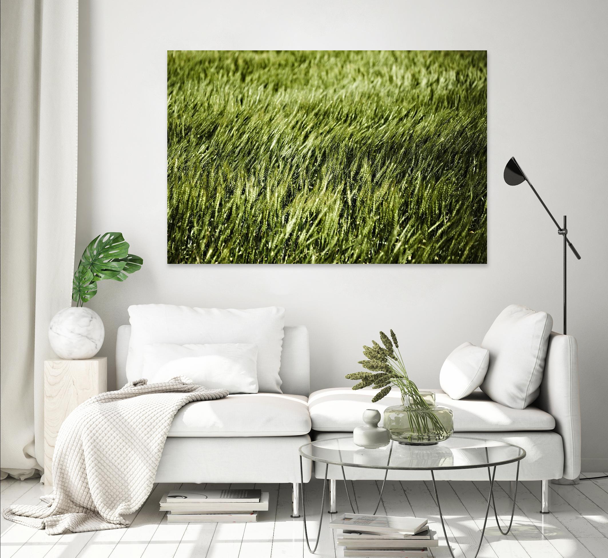Grass II by Peter Morneau on GIANT ART - green photo art