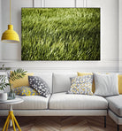 Grass II by Peter Morneau on GIANT ART - green photo art