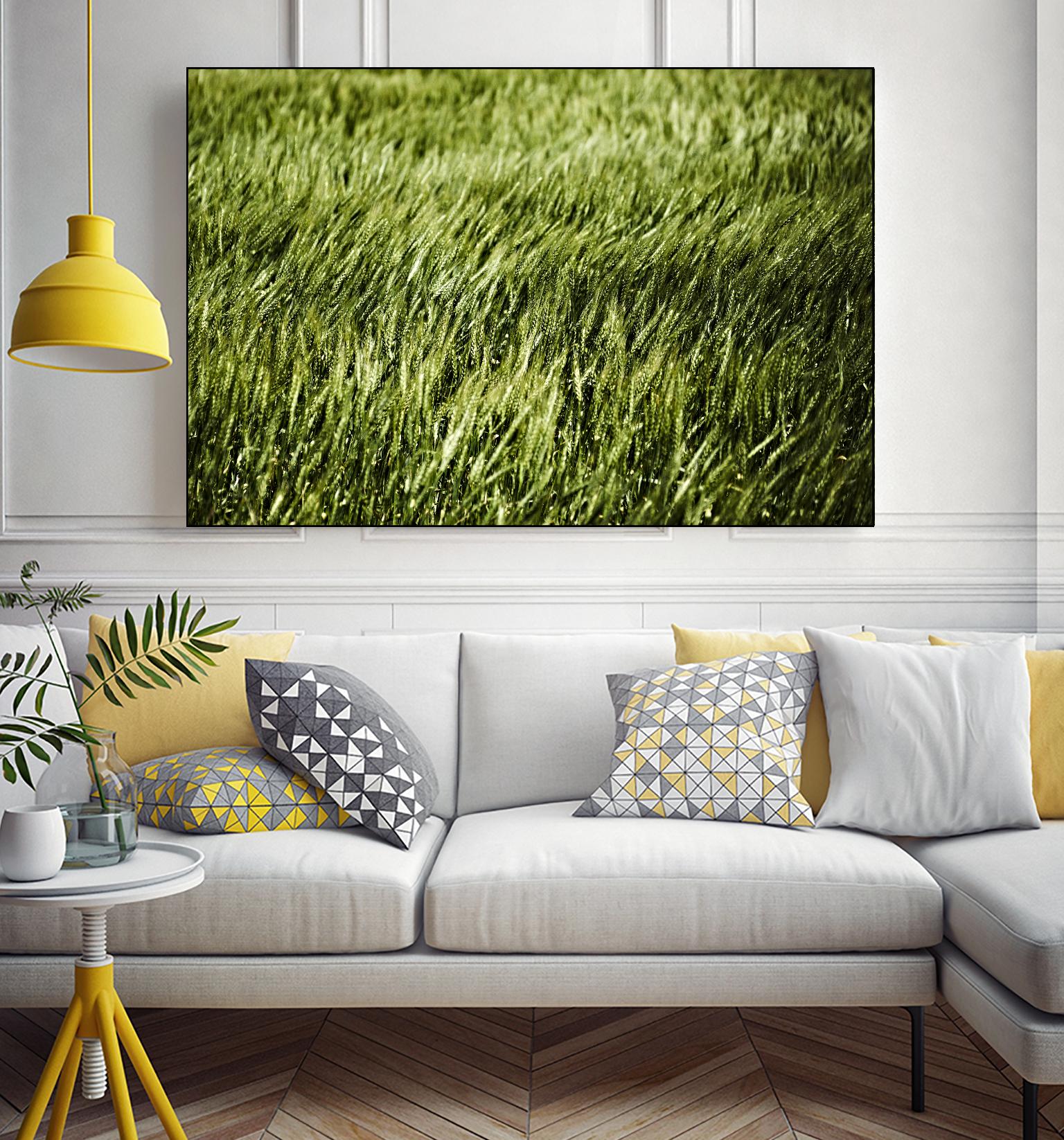 Grass II by Peter Morneau on GIANT ART - green photo art