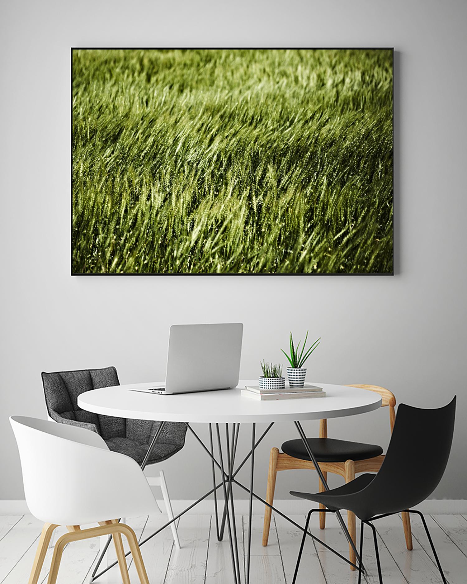 Grass II by Peter Morneau on GIANT ART - green photo art