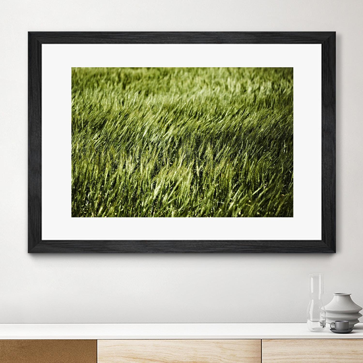 Grass II by Peter Morneau on GIANT ART - green photo art