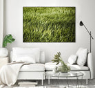 Grass II by Peter Morneau on GIANT ART - green photo art
