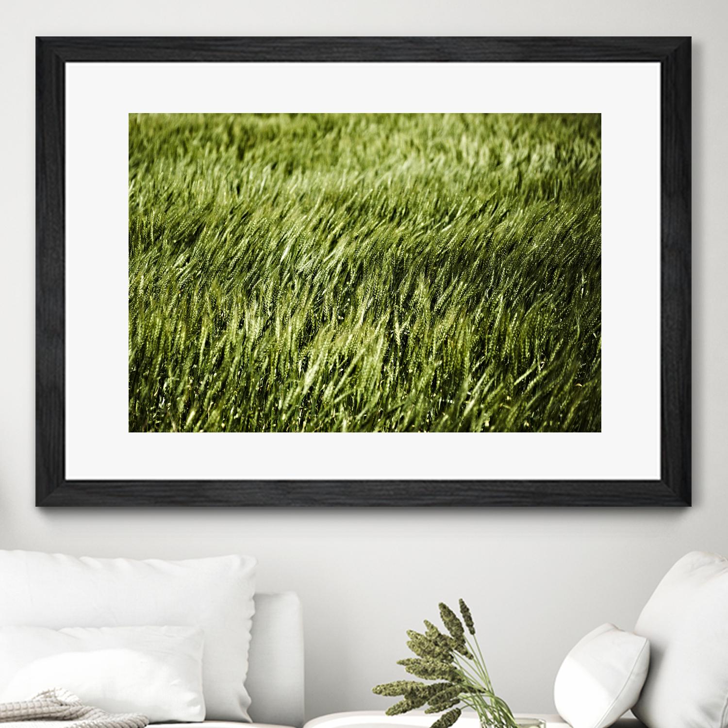 Grass II by Peter Morneau on GIANT ART - green photo art