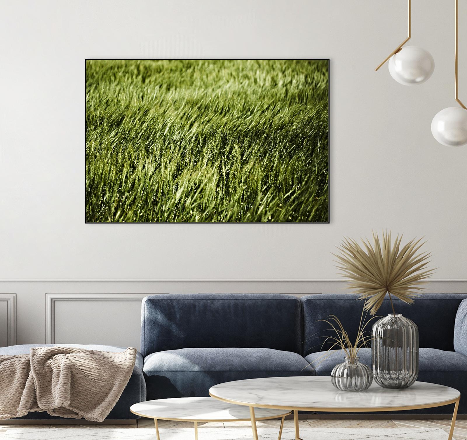 Grass II by Peter Morneau on GIANT ART - green photo art