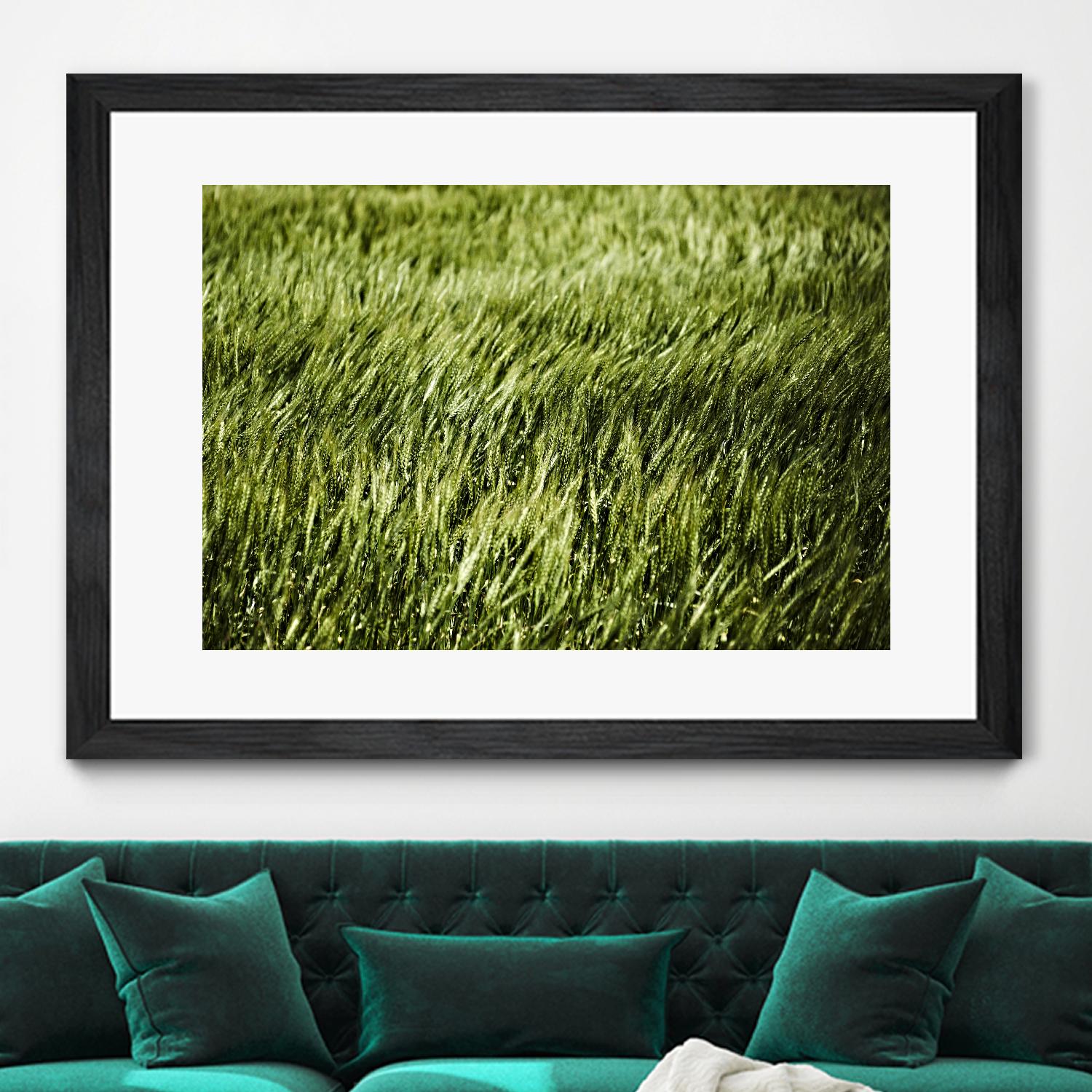 Grass II by Peter Morneau on GIANT ART - green photo art
