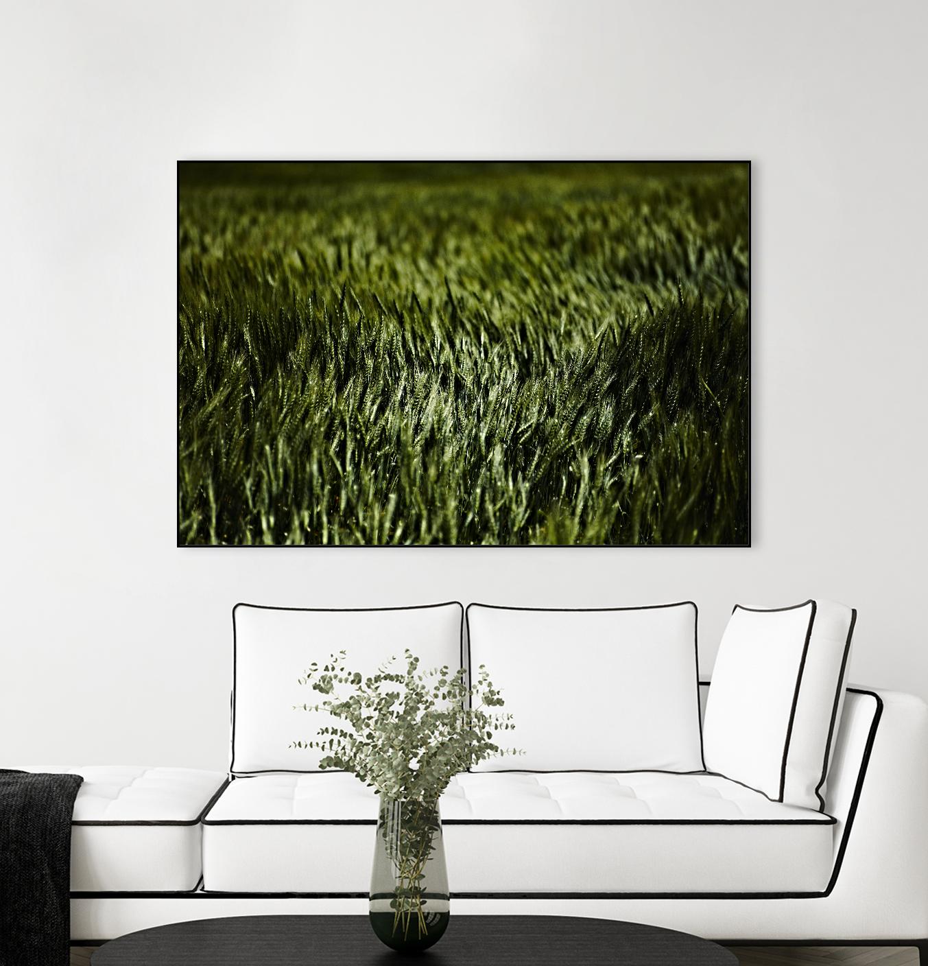 Grass III by Peter Morneau on GIANT ART - green photo art