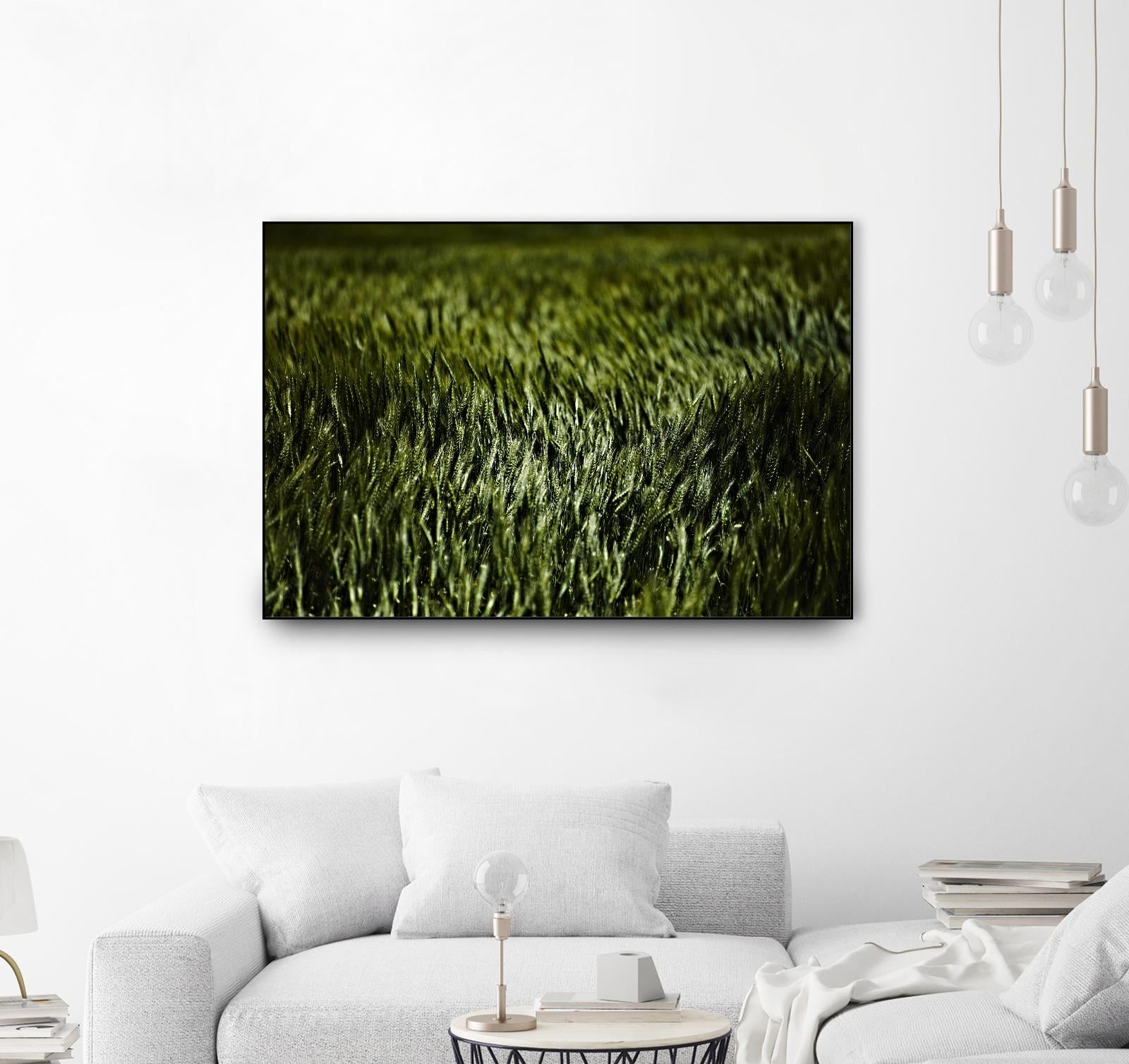 Grass III by Peter Morneau on GIANT ART - green photo art