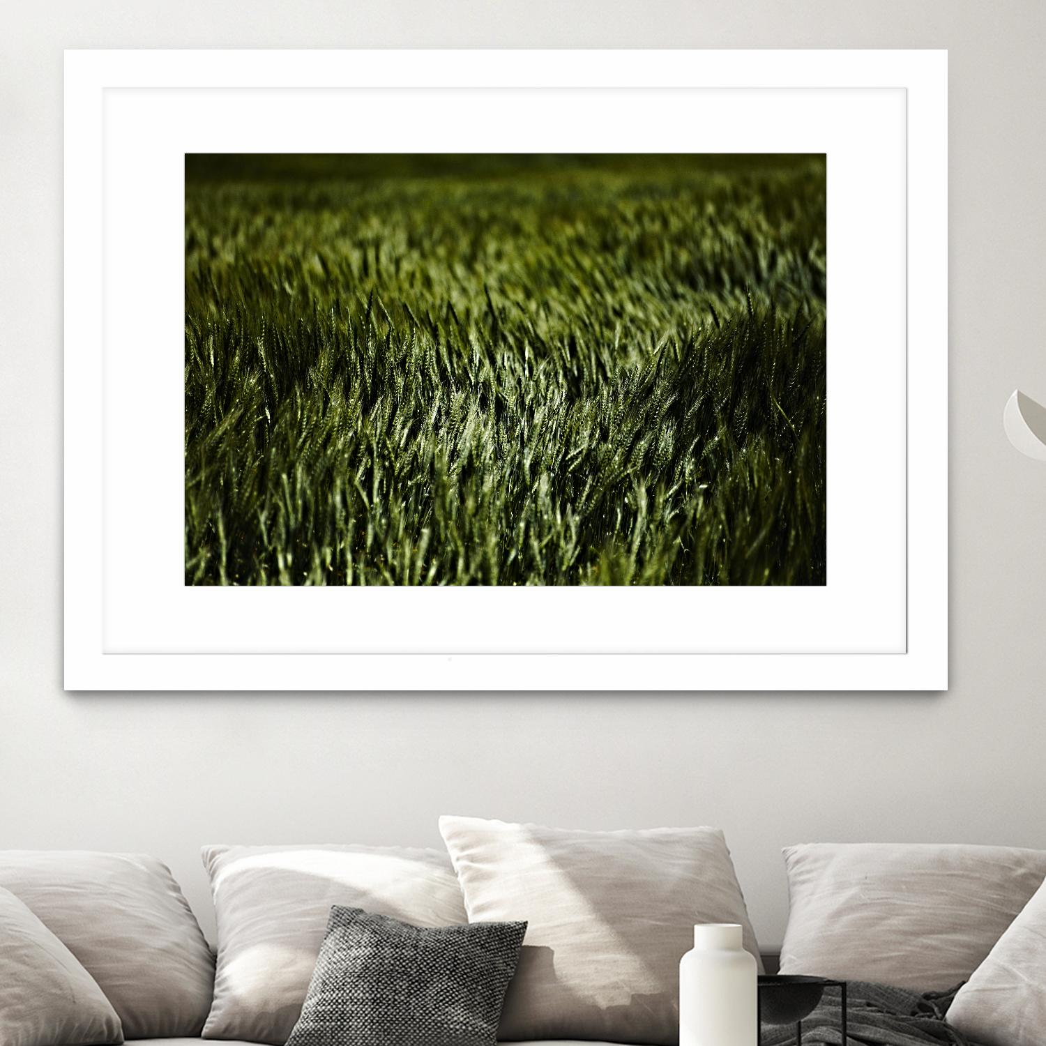 Grass III by Peter Morneau on GIANT ART - green photo art