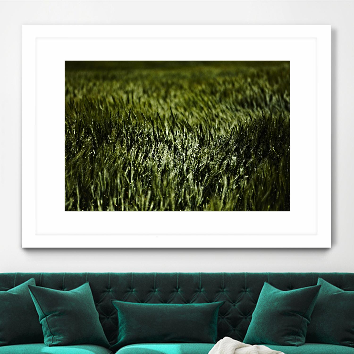Grass III by Peter Morneau on GIANT ART - green photo art