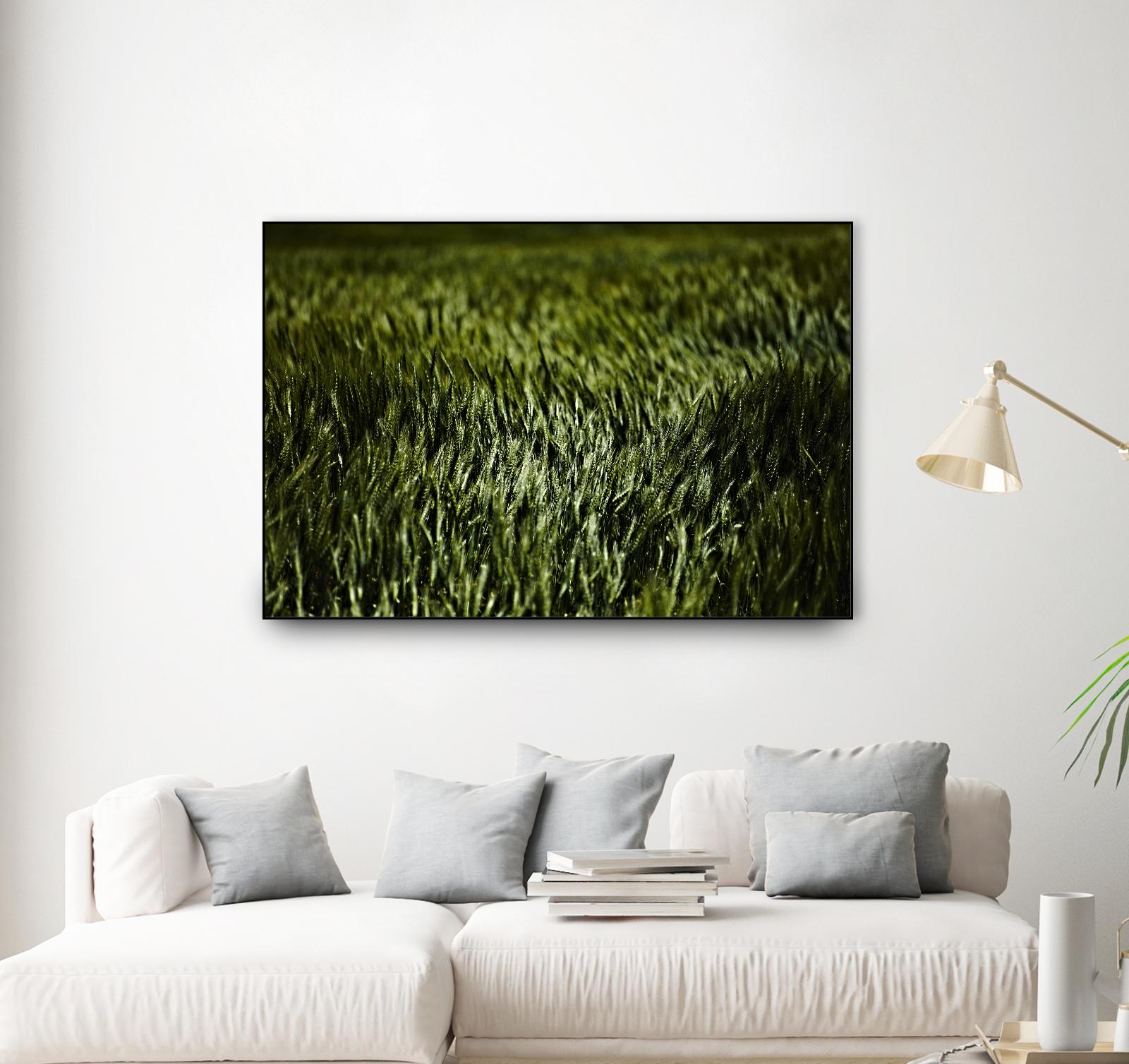 Grass III by Peter Morneau on GIANT ART - green photo art