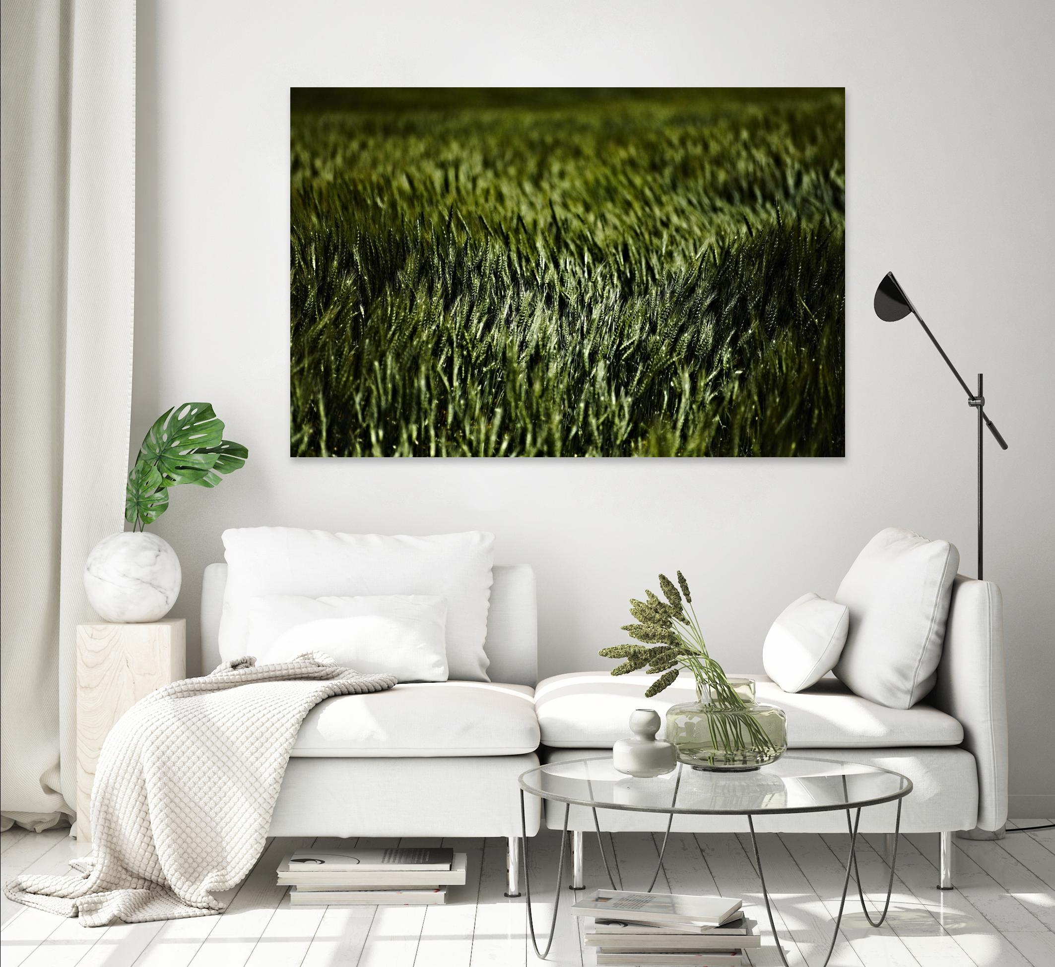 Grass III by Peter Morneau on GIANT ART - green photo art
