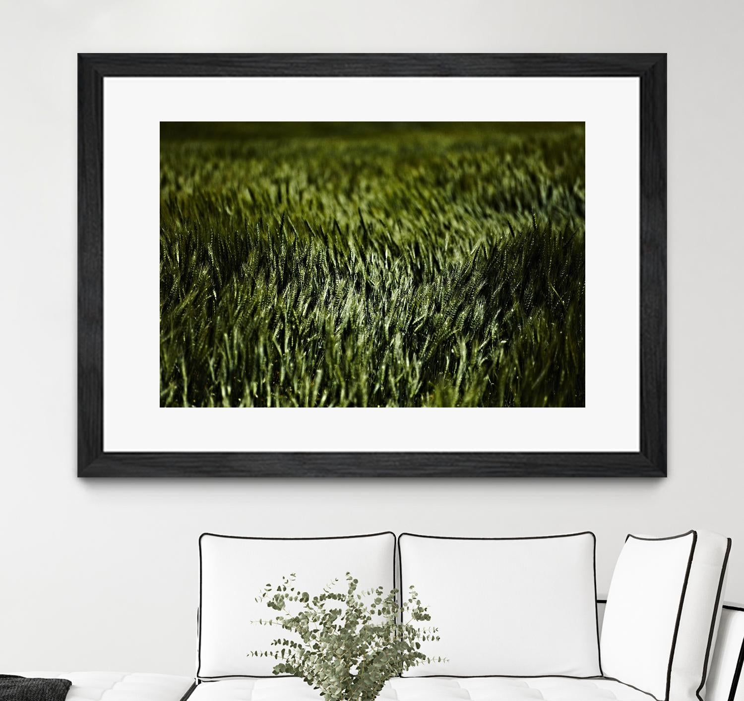 Grass III by Peter Morneau on GIANT ART - green photo art