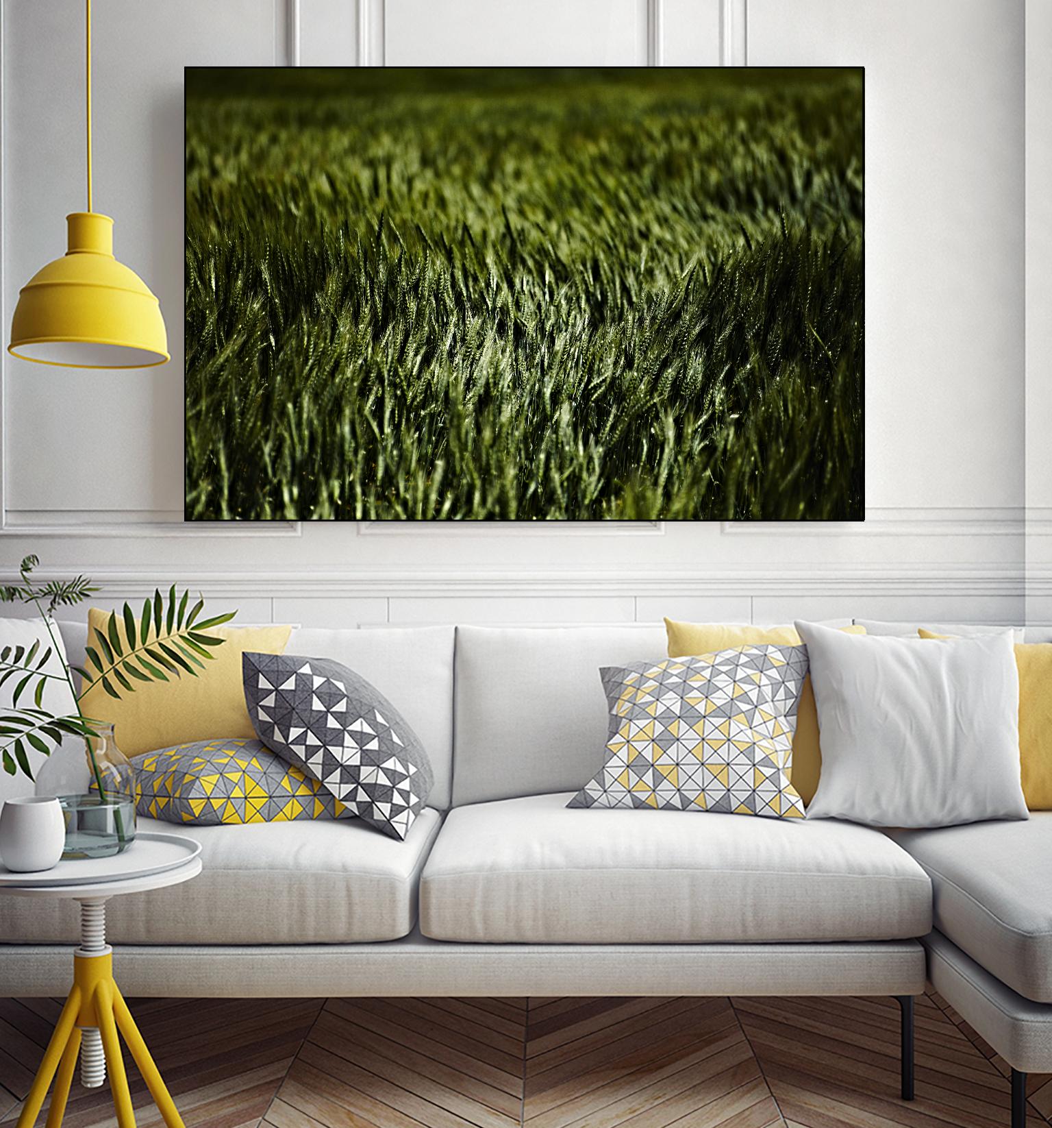 Grass III by Peter Morneau on GIANT ART - green photo art
