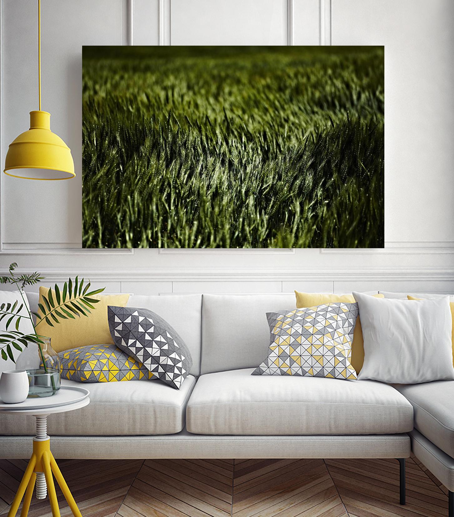 Grass III by Peter Morneau on GIANT ART - green photo art