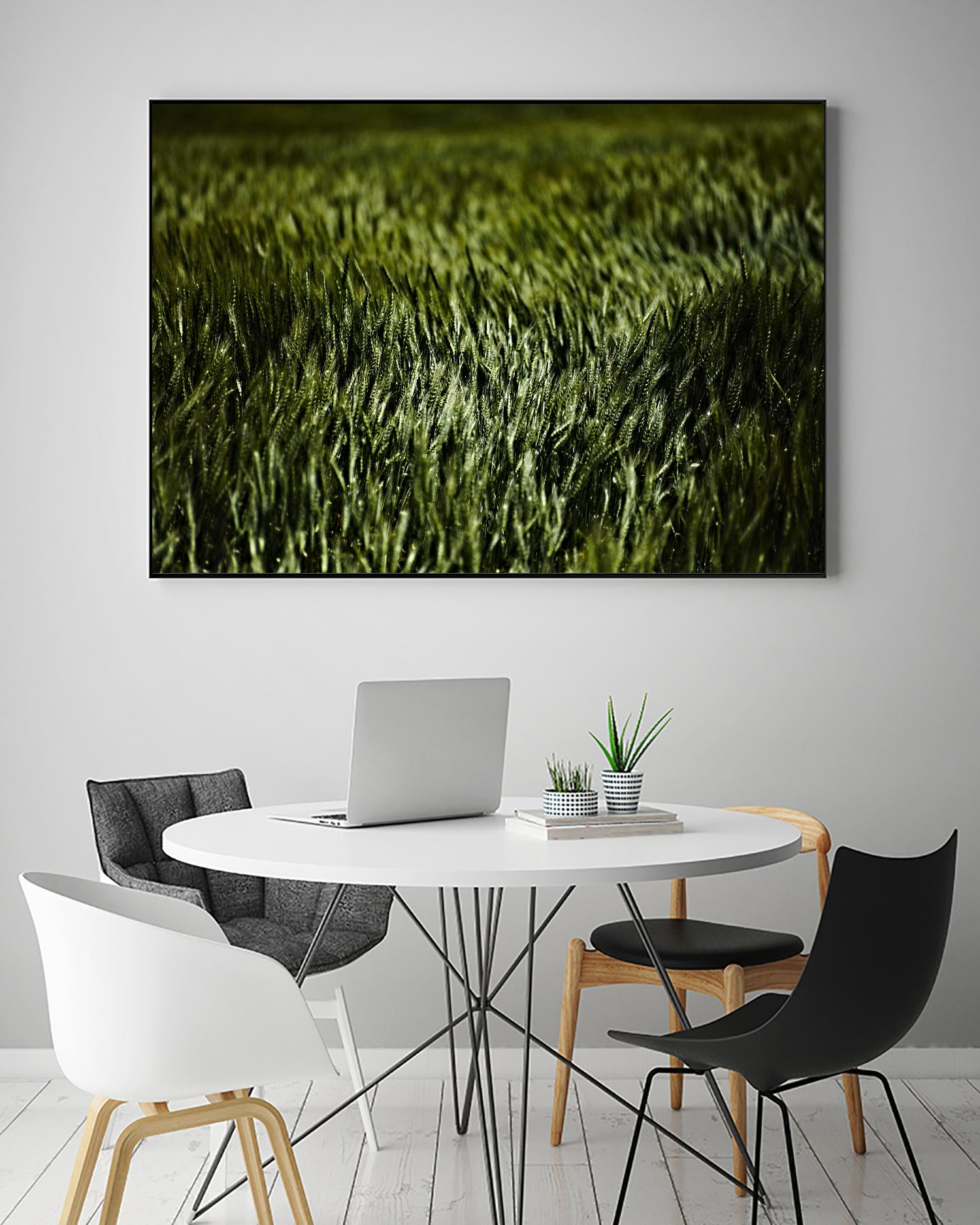 Grass III by Peter Morneau on GIANT ART - green photo art