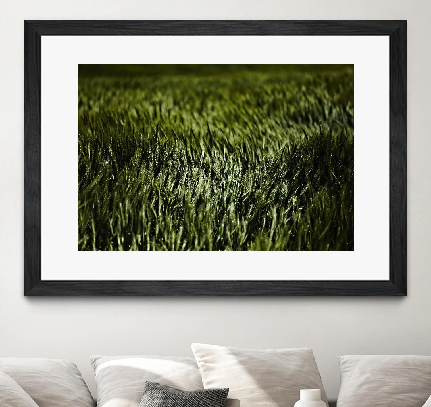 Grass III by Peter Morneau on GIANT ART - green photo art