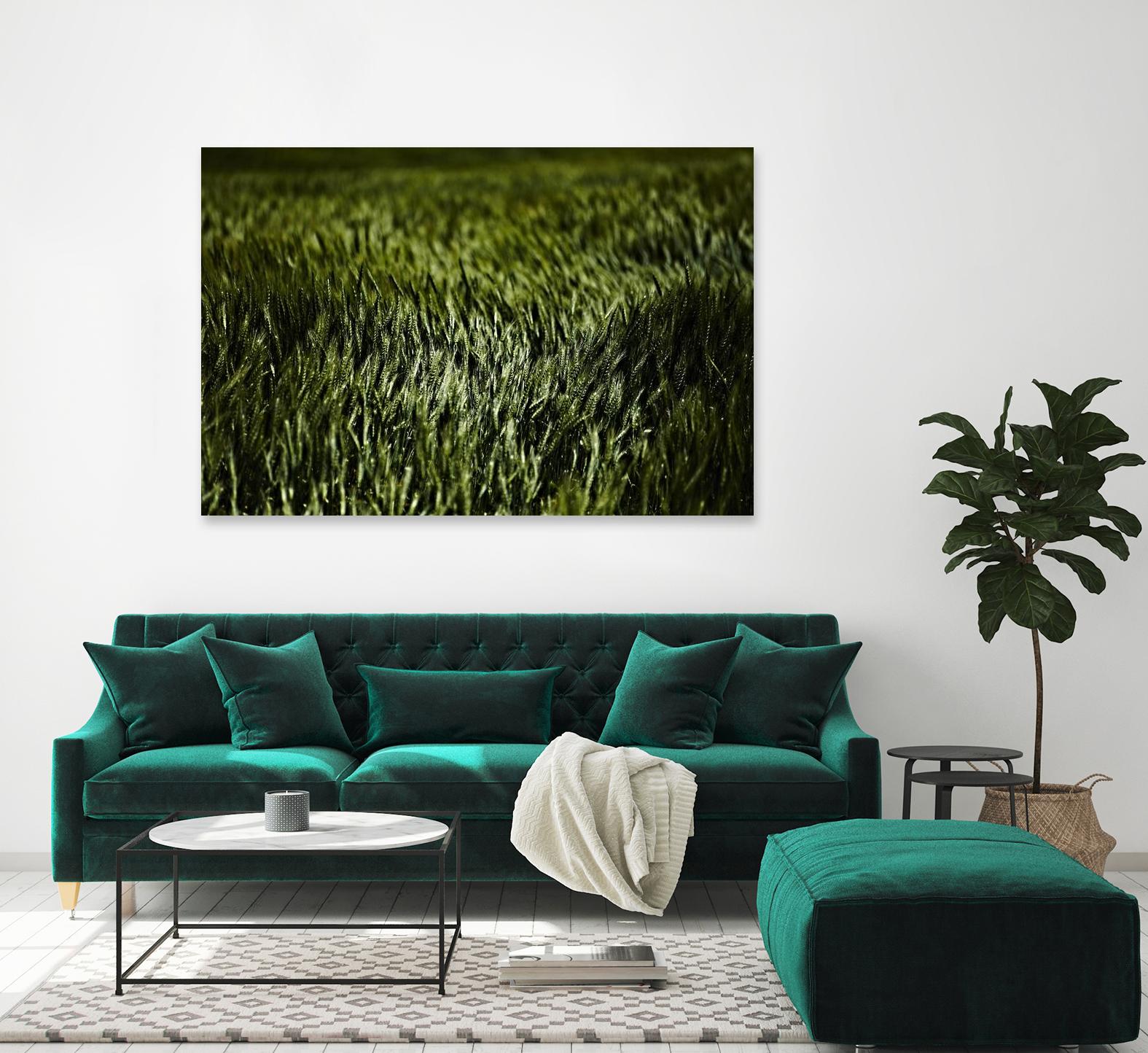 Grass III by Peter Morneau on GIANT ART - green photo art