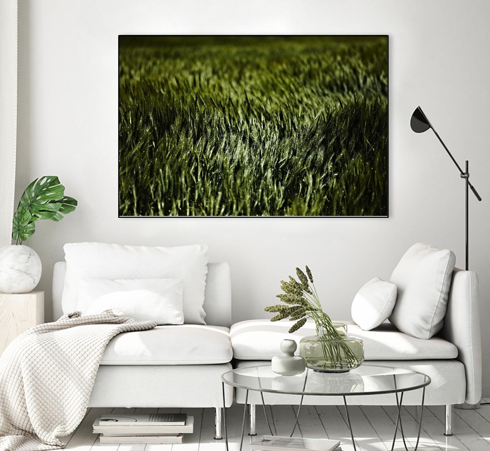 Grass III by Peter Morneau on GIANT ART - green photo art