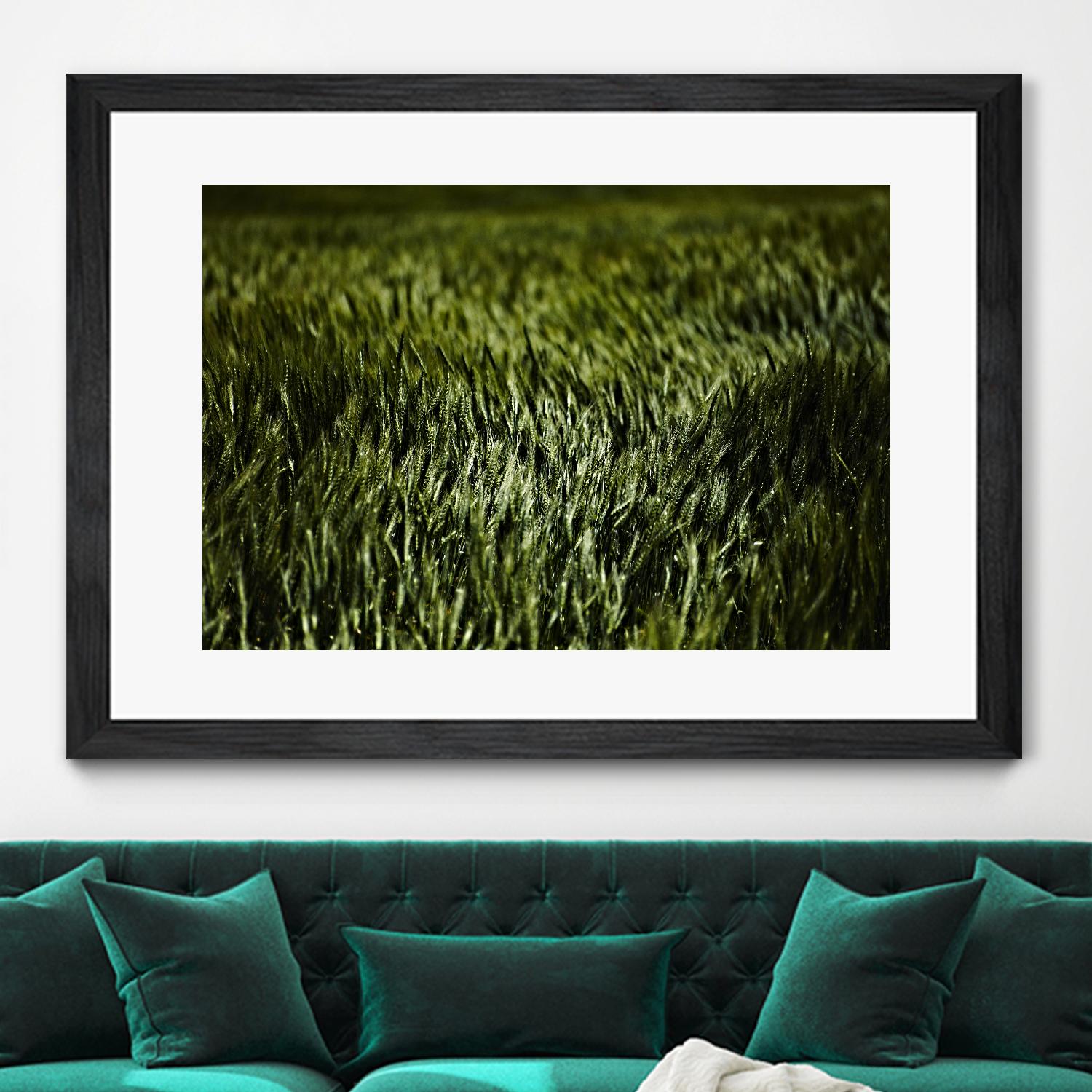 Grass III by Peter Morneau on GIANT ART - green photo art