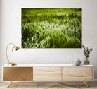 Grass IV by Peter Morneau on GIANT ART - green photo art