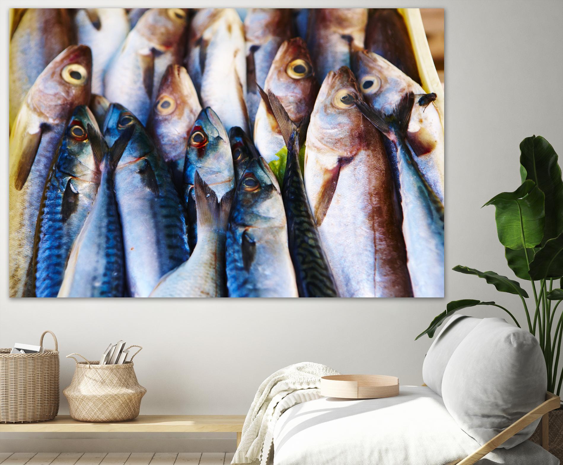 Fish V by Peter Morneau on GIANT ART - grey photo art