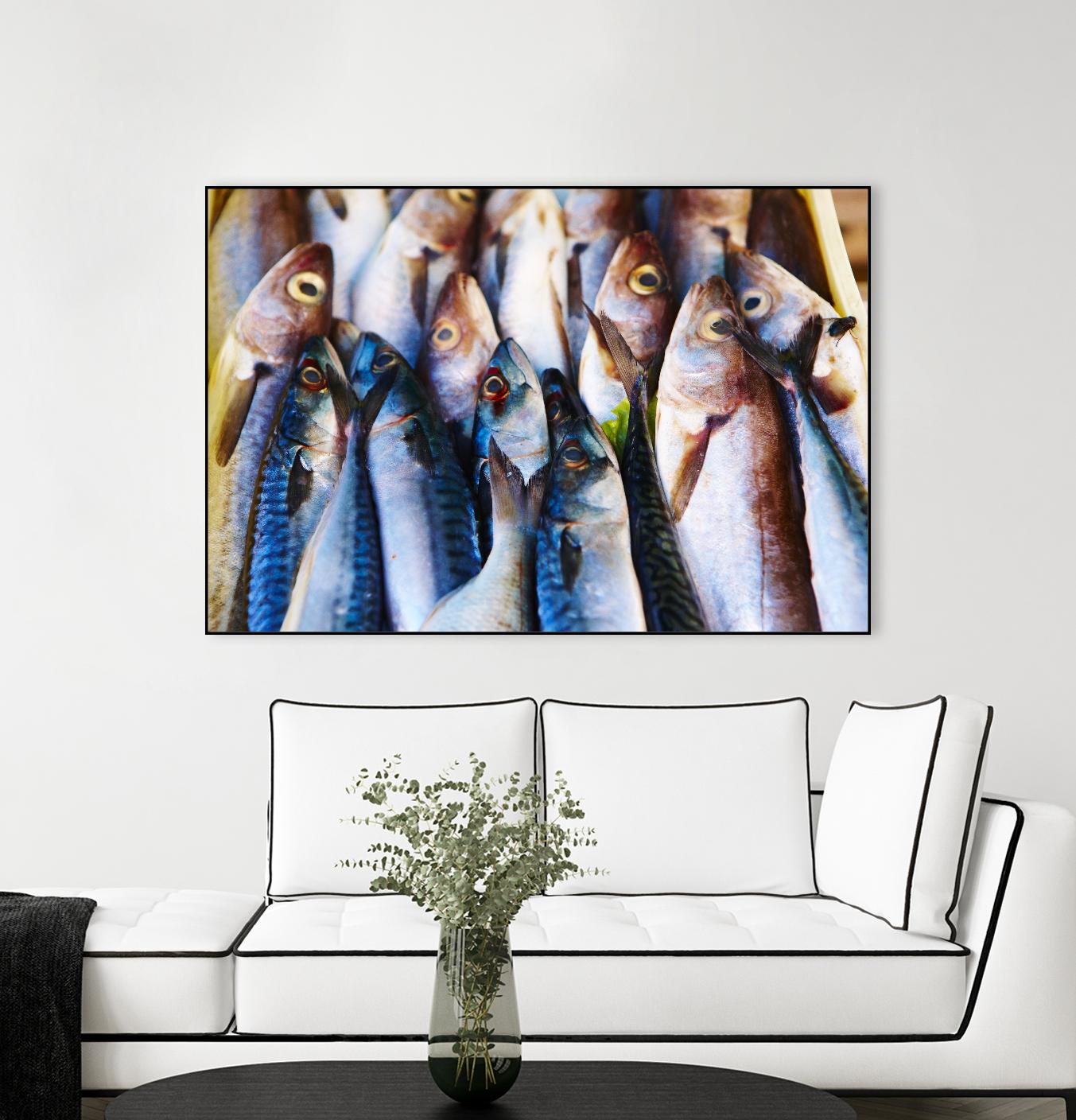 Fish V by Peter Morneau on GIANT ART - grey photo art