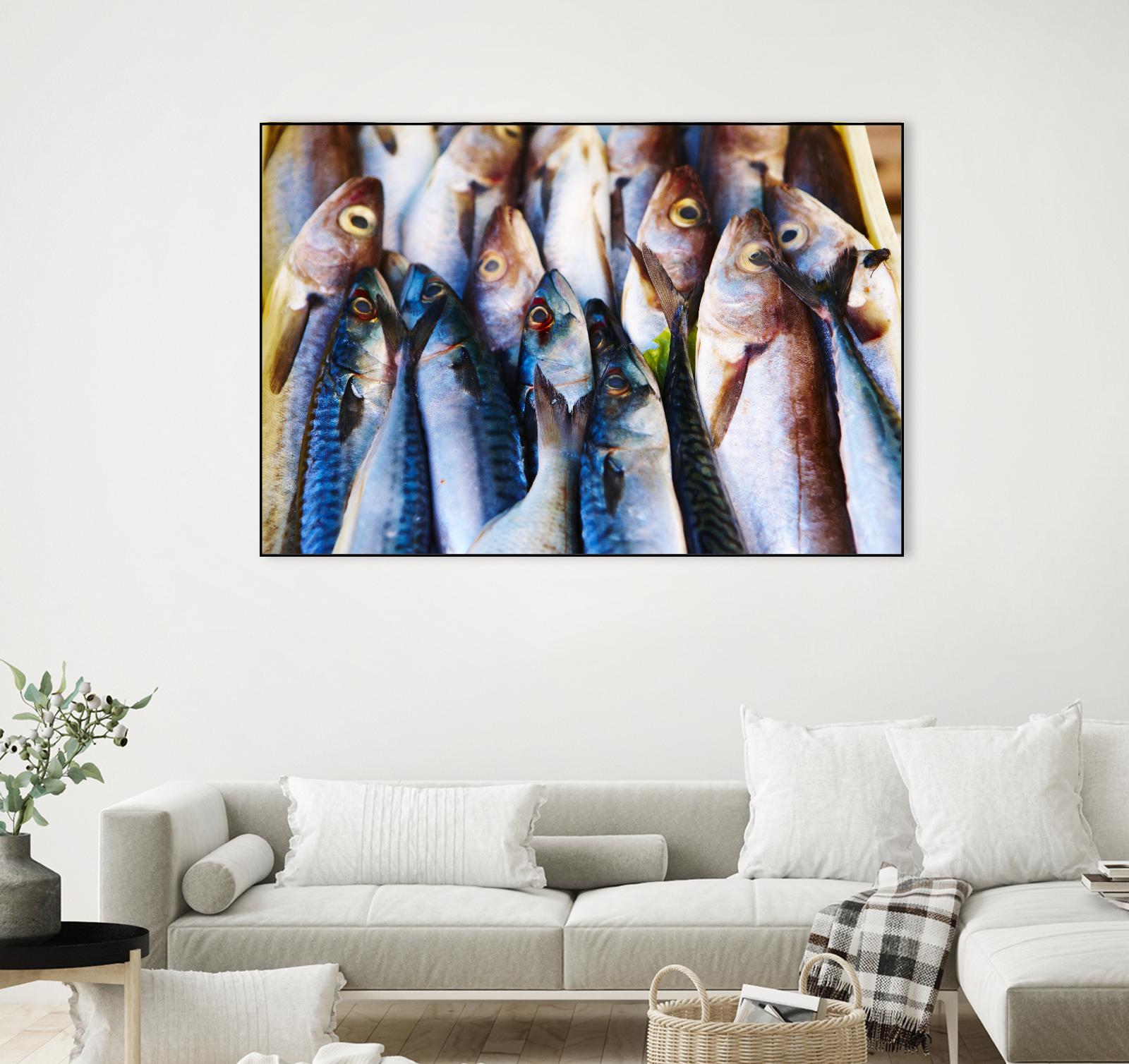 Fish V by Peter Morneau on GIANT ART - grey photo art