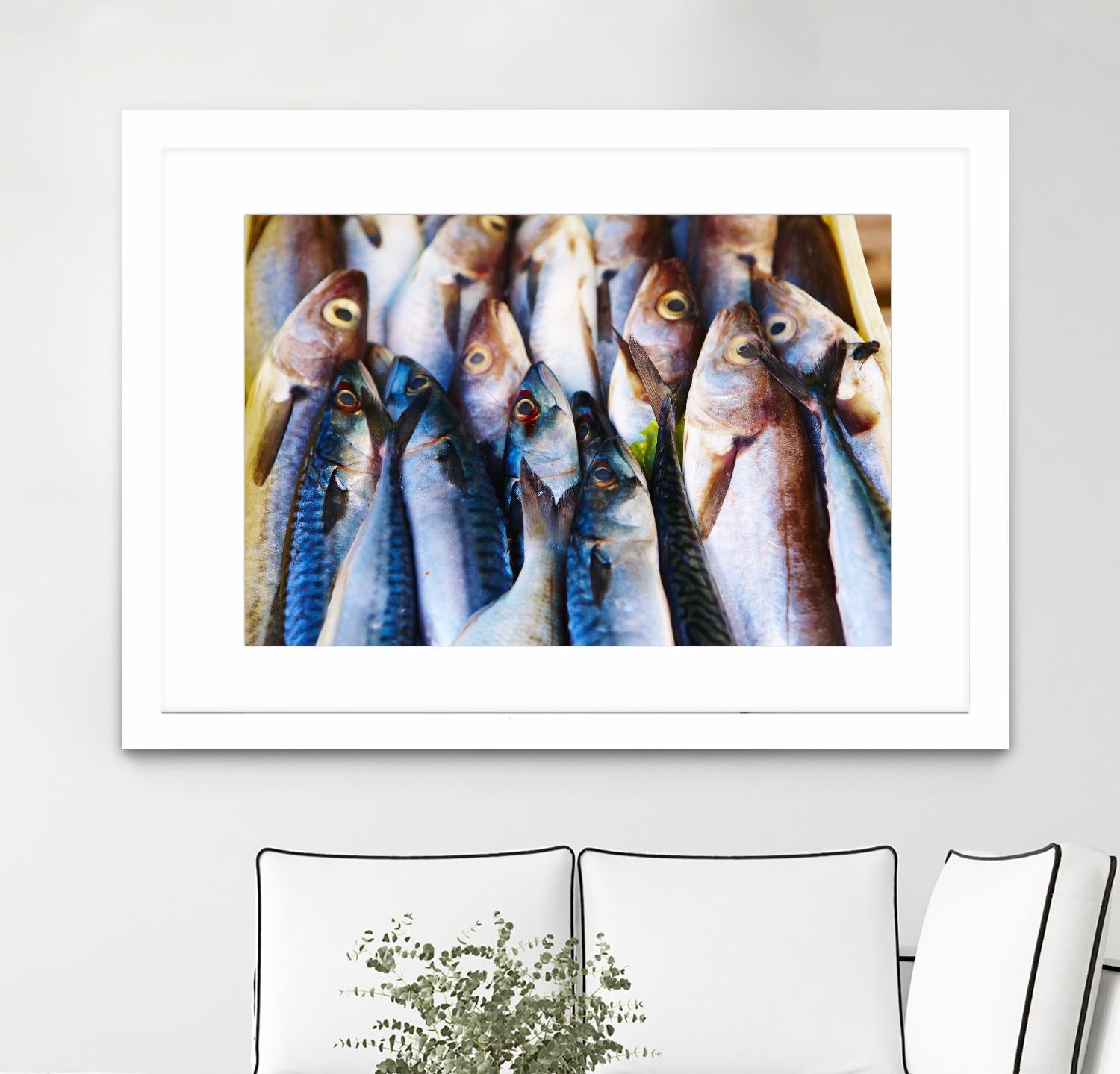 Fish V by Peter Morneau on GIANT ART - blue photography artistes du québec