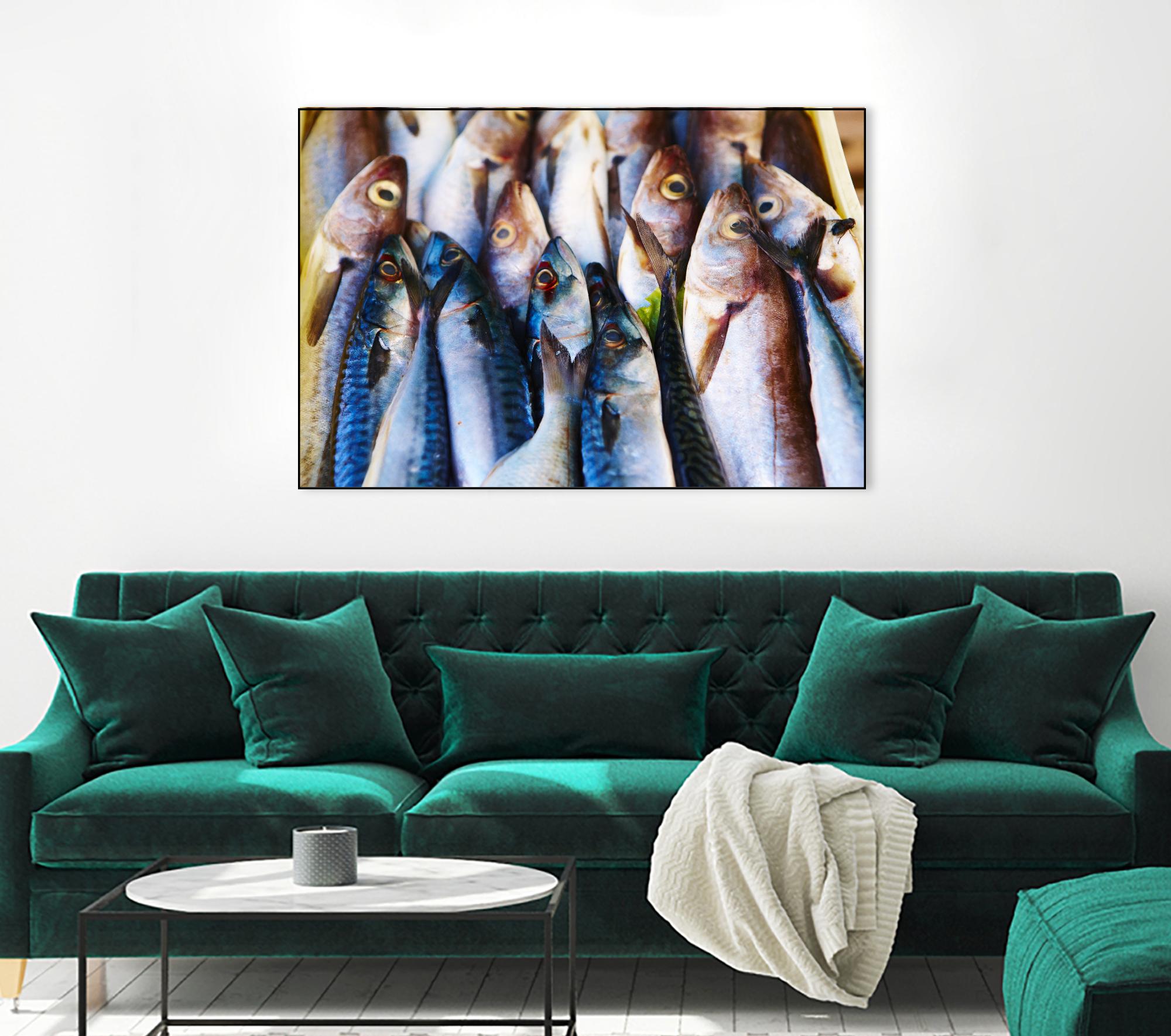 Fish V by Peter Morneau on GIANT ART - grey photo art
