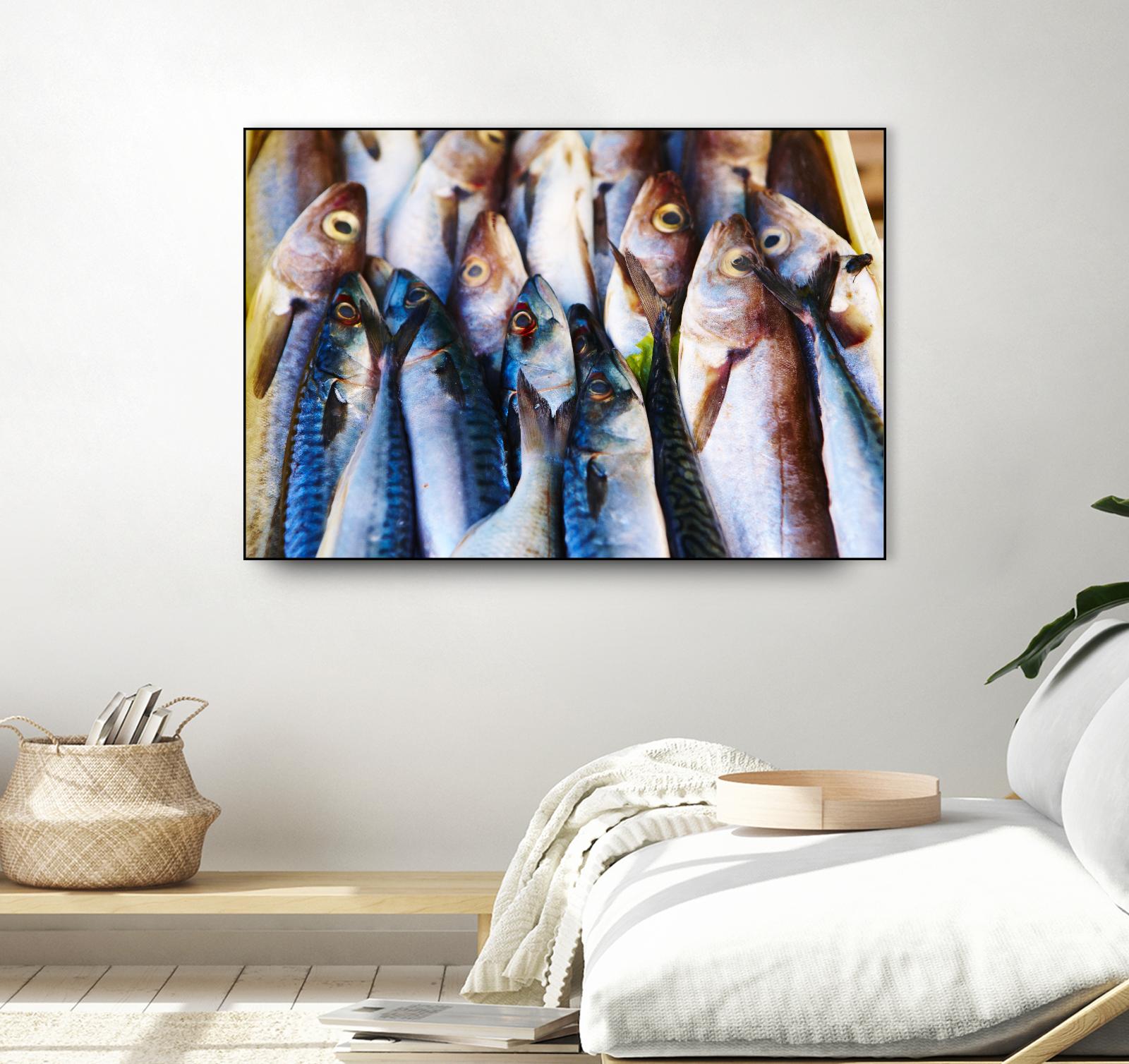 Fish V by Peter Morneau on GIANT ART - grey photo art