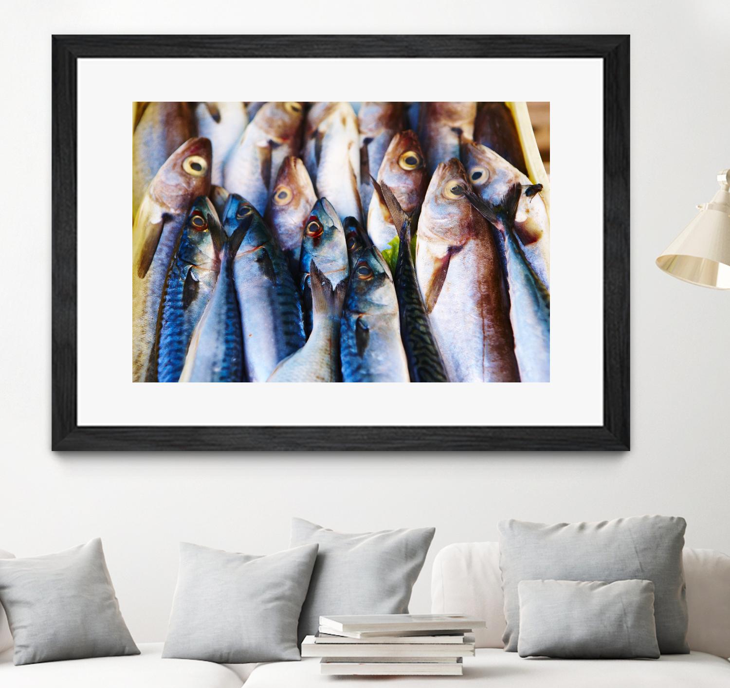 Fish V by Peter Morneau on GIANT ART - blue photography artistes du québec