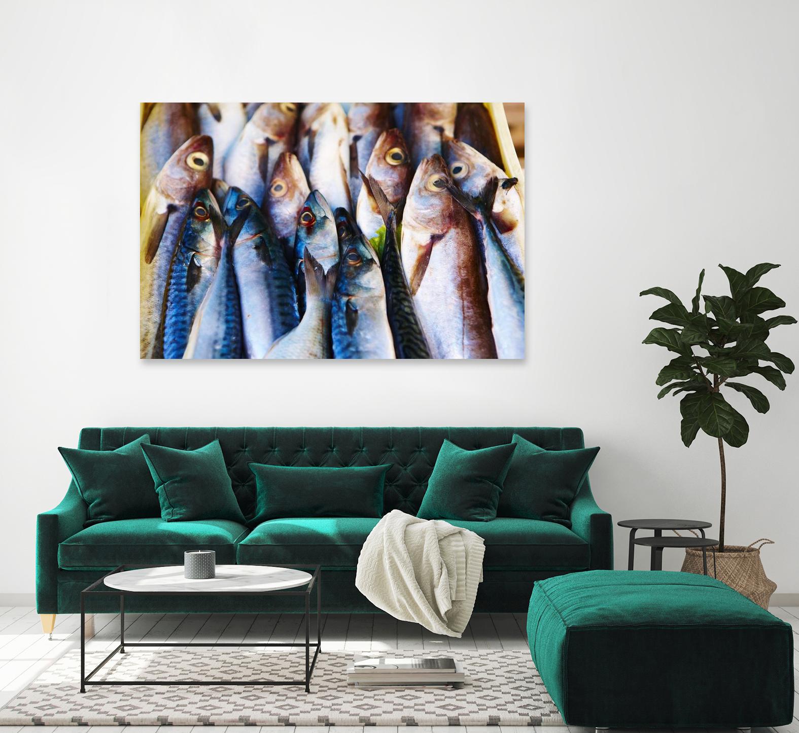 Fish V by Peter Morneau on GIANT ART - blue photography artistes du québec