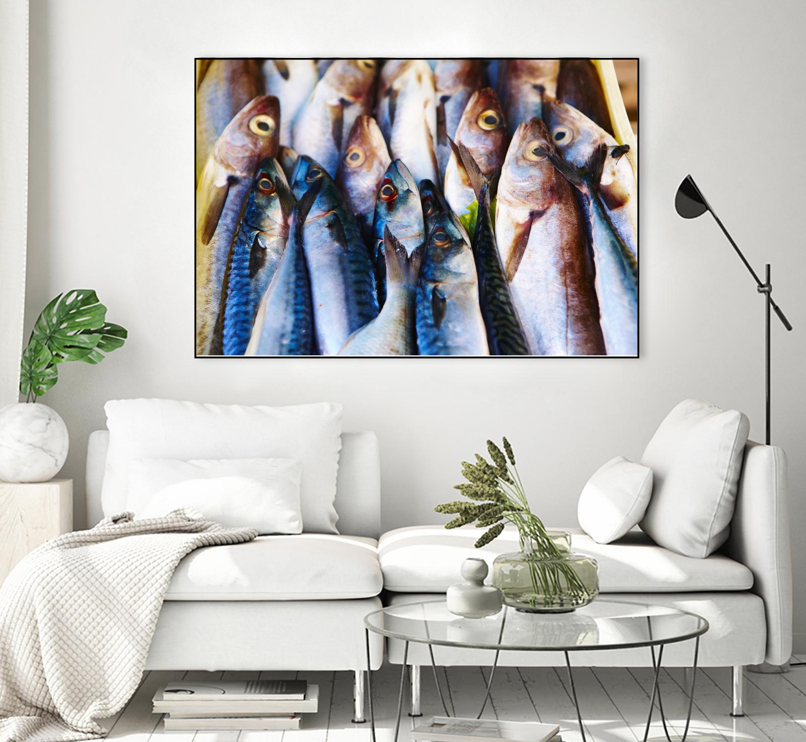 Fish V by Peter Morneau on GIANT ART - grey photo art