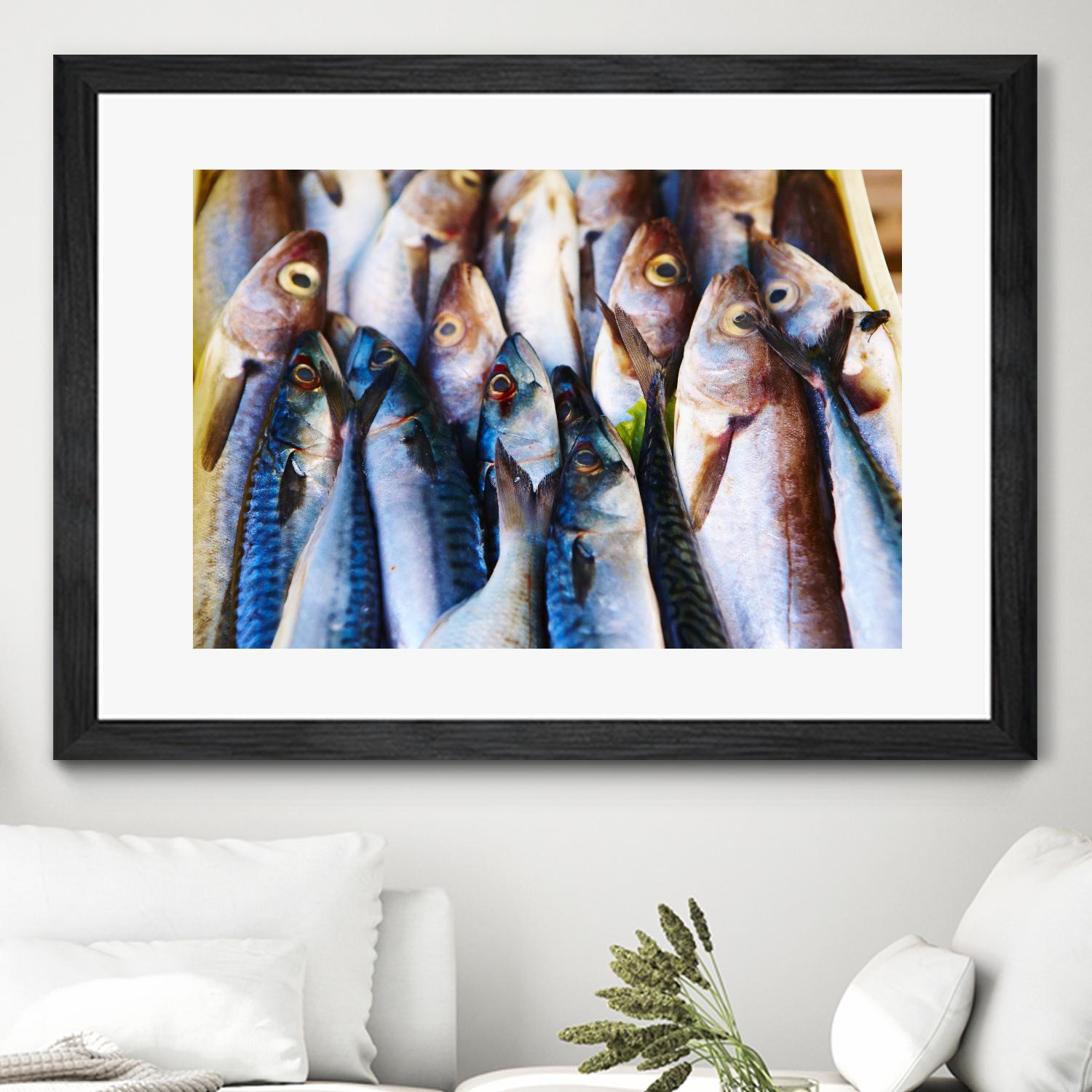 Fish V by Peter Morneau on GIANT ART - blue photography artistes du québec