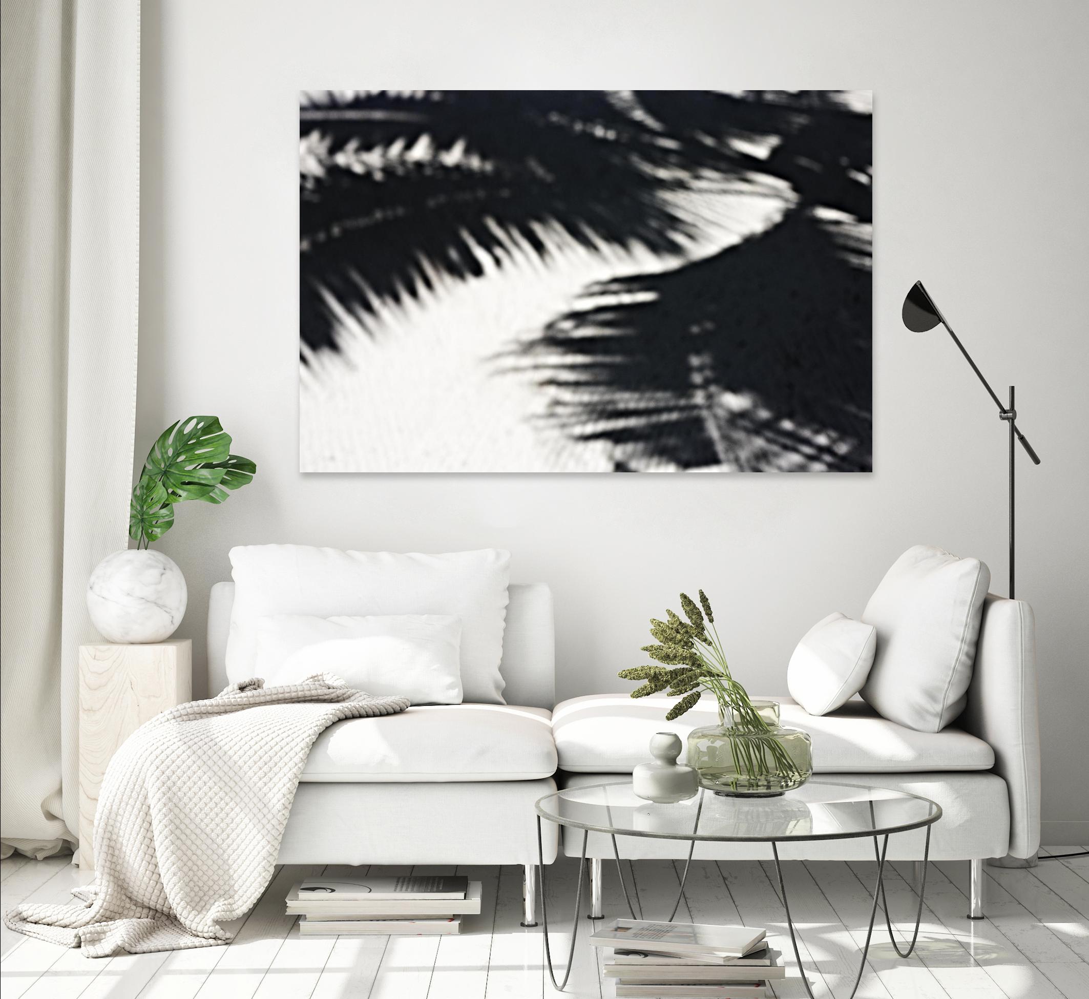 Under the shade by Peter Morneau on GIANT ART - white photo art