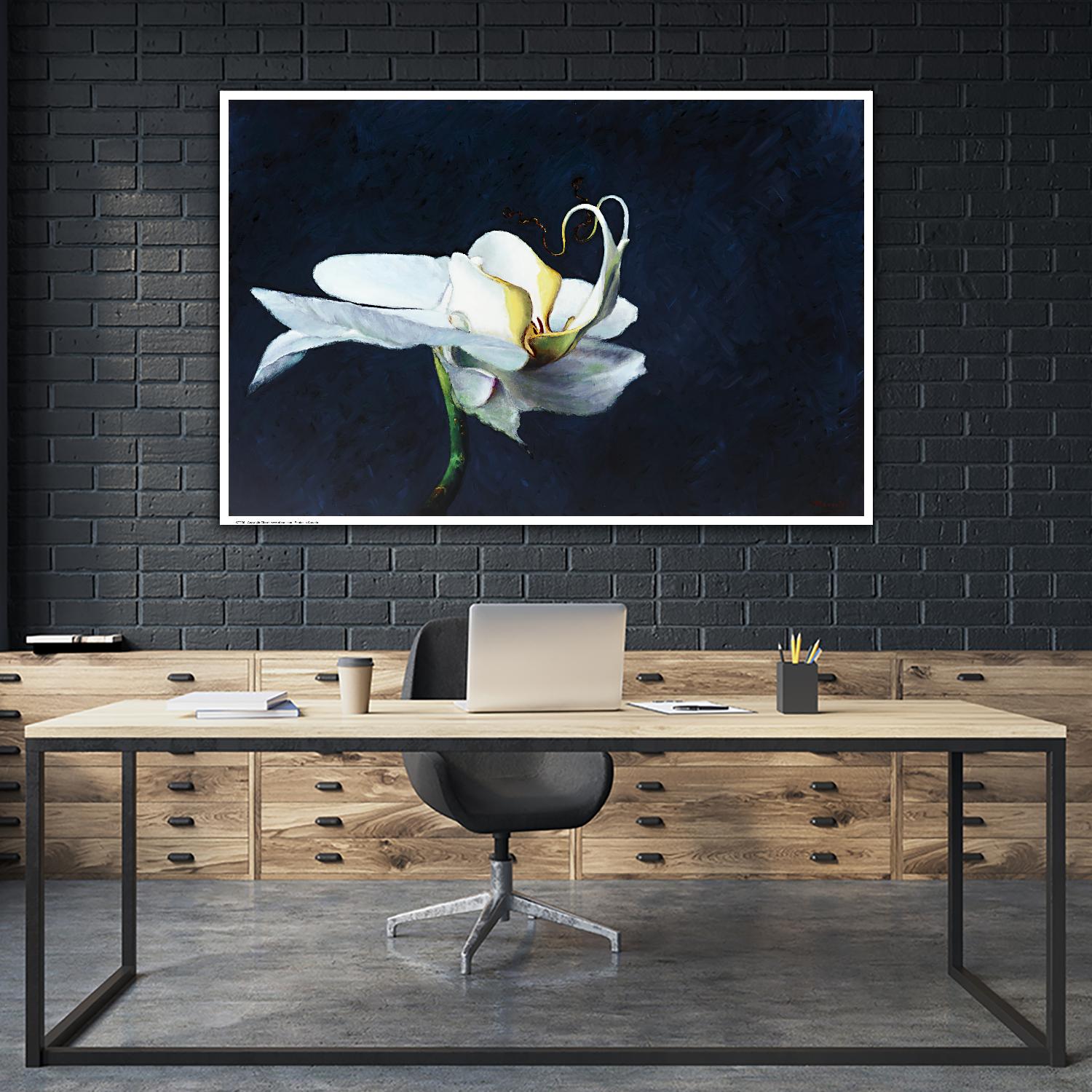 Phalaenopsis blanc by Jocelyne Maucotel on GIANT ART - blue floral
