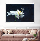 Phalaenopsis blanc by Jocelyne Maucotel on GIANT ART - blue floral