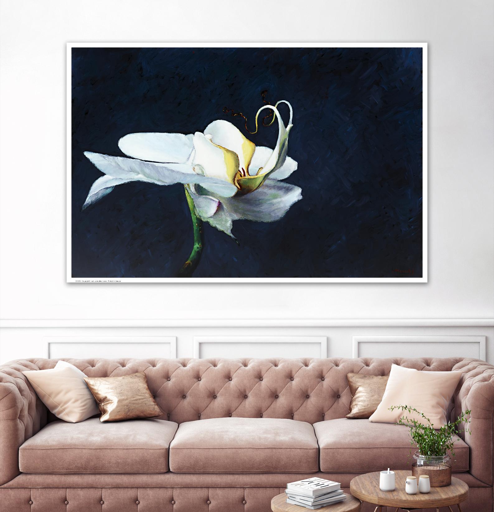 Phalaenopsis blanc by Jocelyne Maucotel on GIANT ART - blue floral