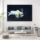 Phalaenopsis blanc by Jocelyne Maucotel on GIANT ART - blue floral