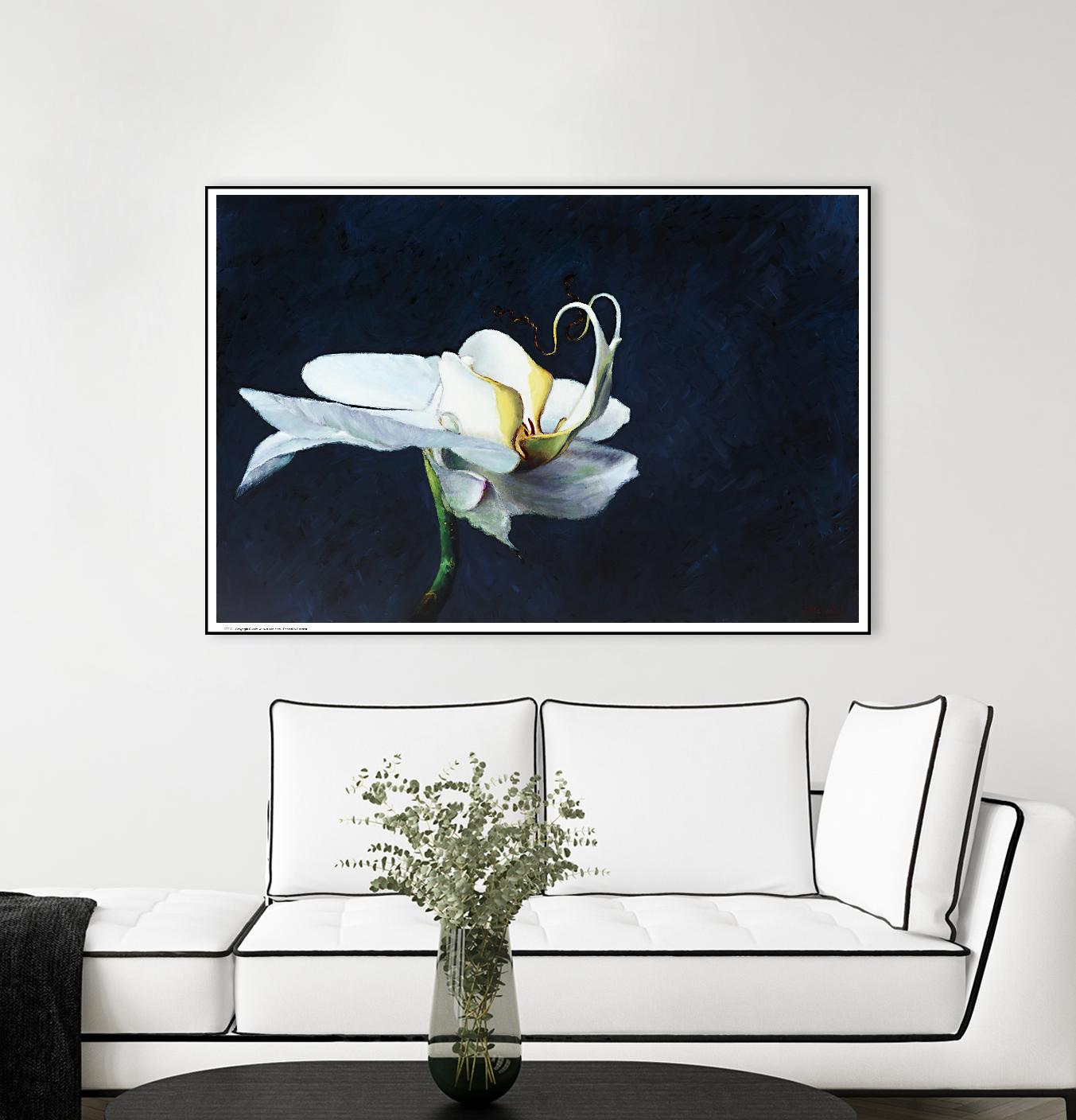 Phalaenopsis blanc by Jocelyne Maucotel on GIANT ART - blue floral