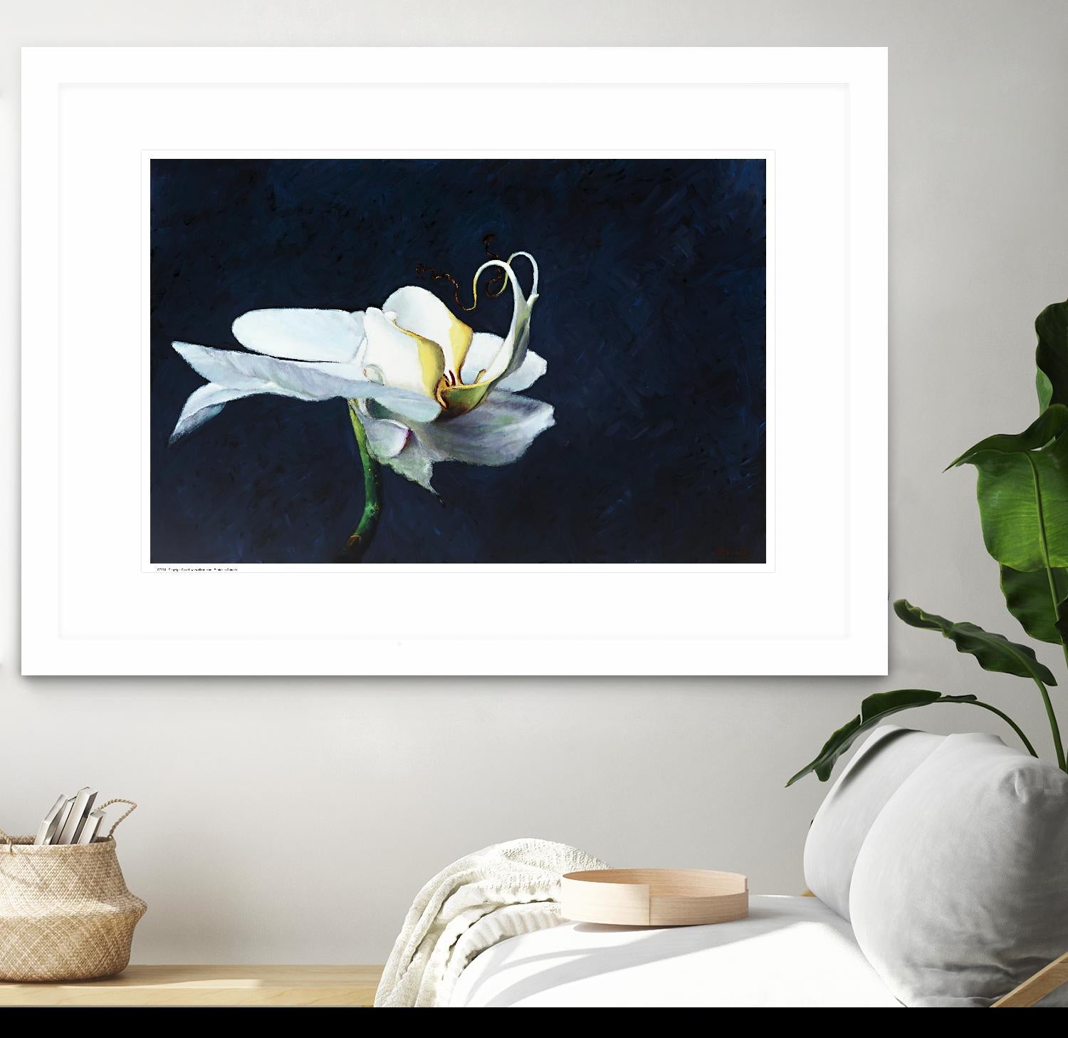 Phalaenopsis blanc by Jocelyne Maucotel on GIANT ART - blue flowers québécois