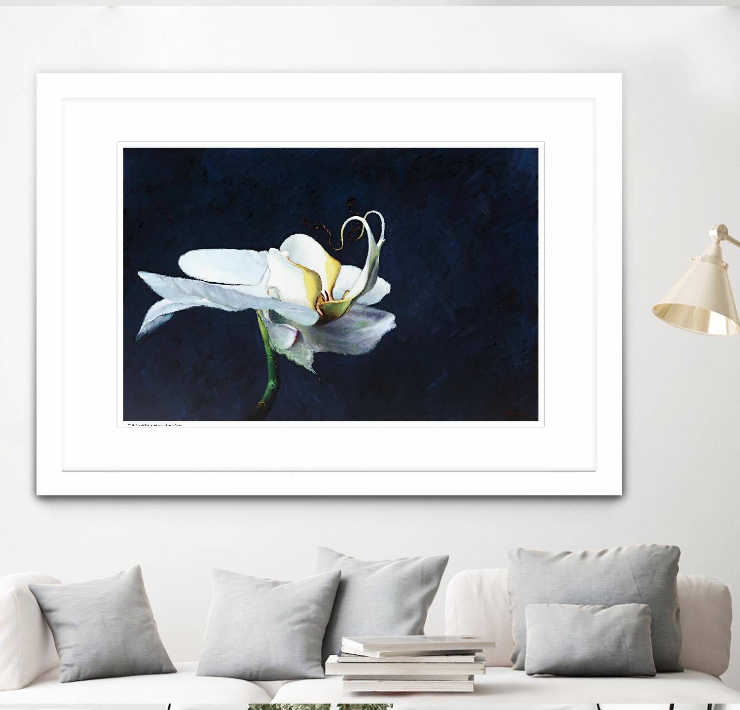 Phalaenopsis blanc by Jocelyne Maucotel on GIANT ART - blue flowers québécois