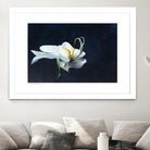 Phalaenopsis blanc by Jocelyne Maucotel on GIANT ART - blue flowers québécois