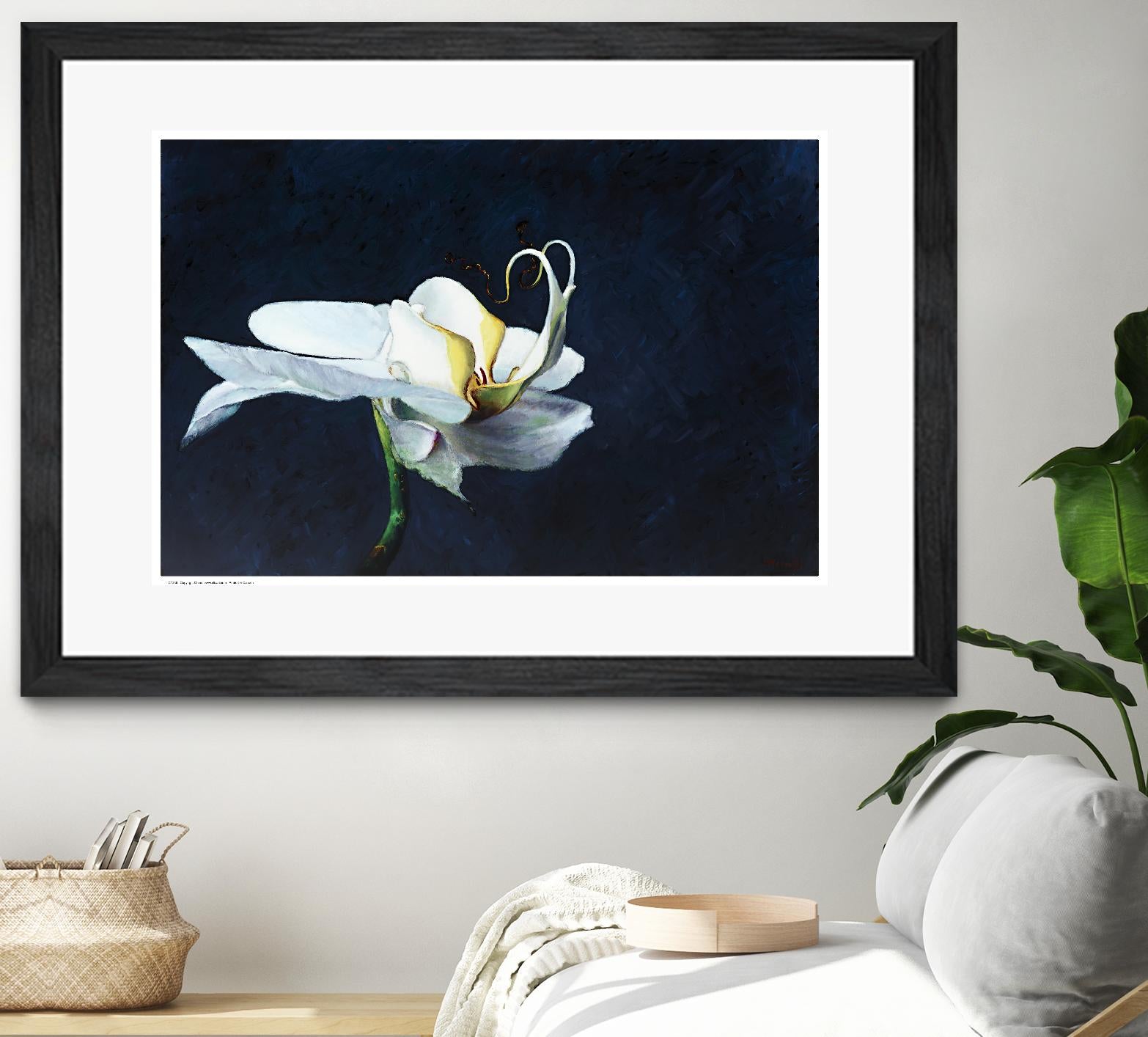 Phalaenopsis blanc by Jocelyne Maucotel on GIANT ART - blue flowers québécois