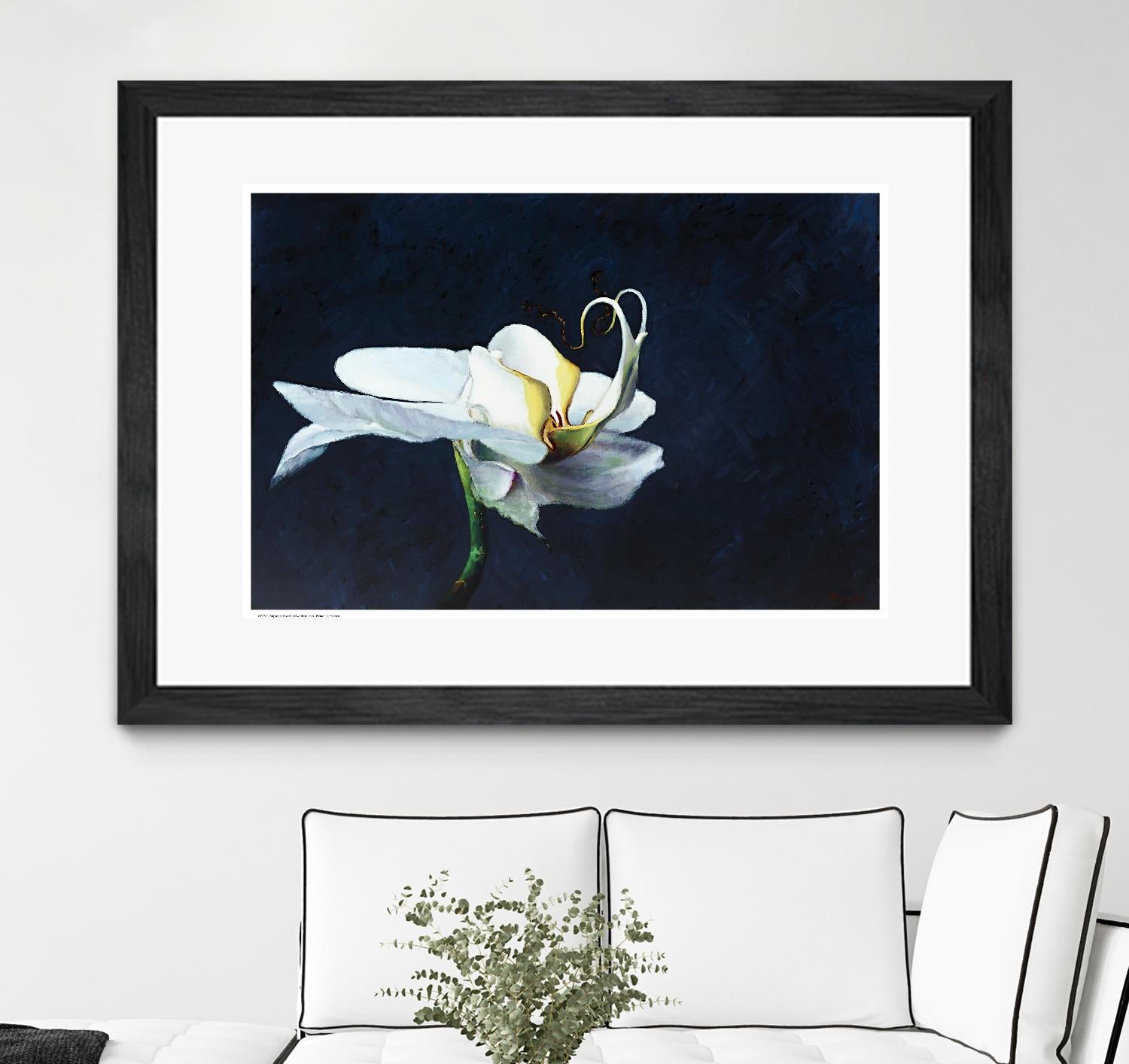 Phalaenopsis blanc by Jocelyne Maucotel on GIANT ART - blue flowers québécois
