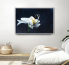 Phalaenopsis blanc by Jocelyne Maucotel on GIANT ART - blue floral