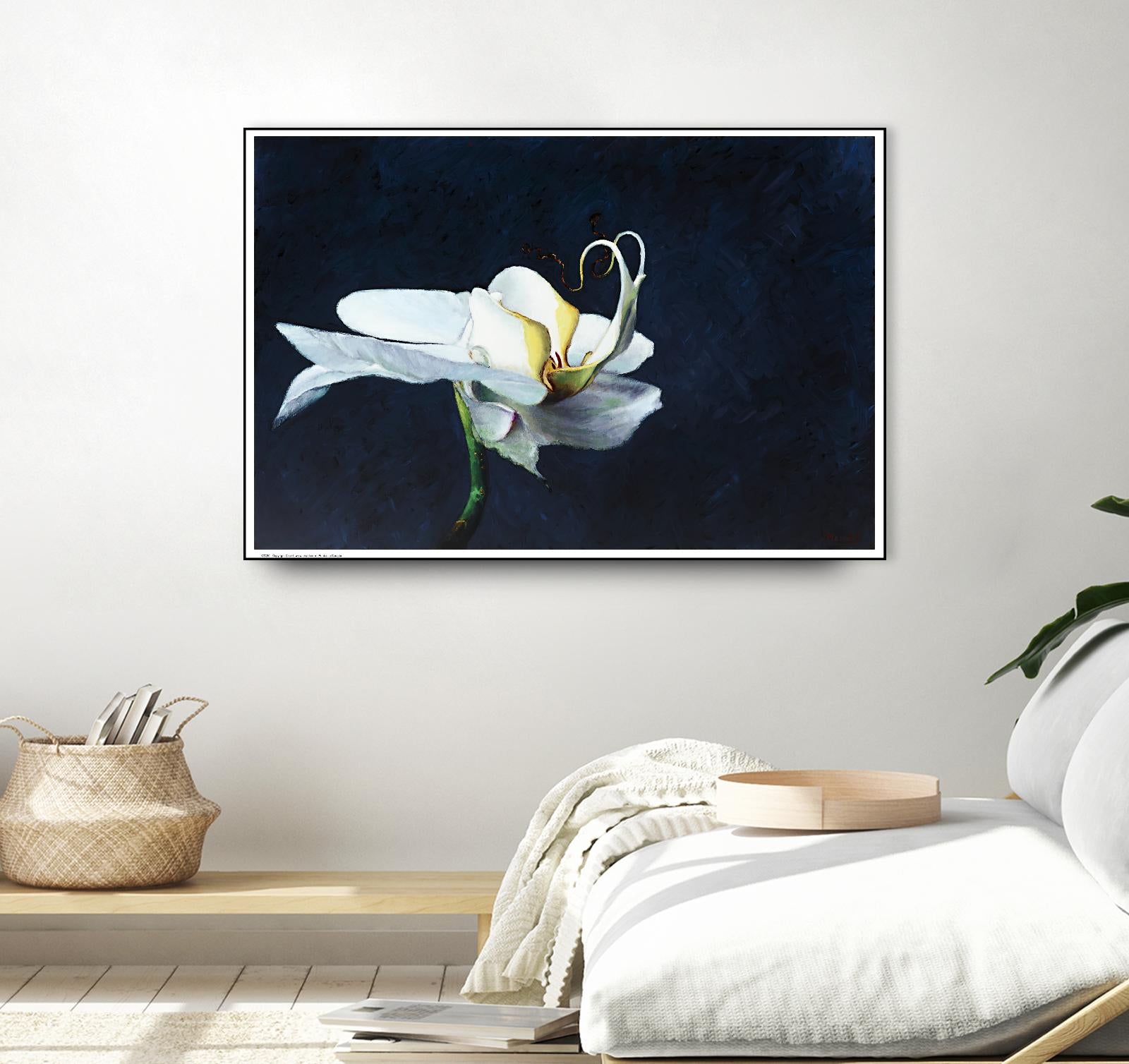 Phalaenopsis blanc by Jocelyne Maucotel on GIANT ART - blue floral