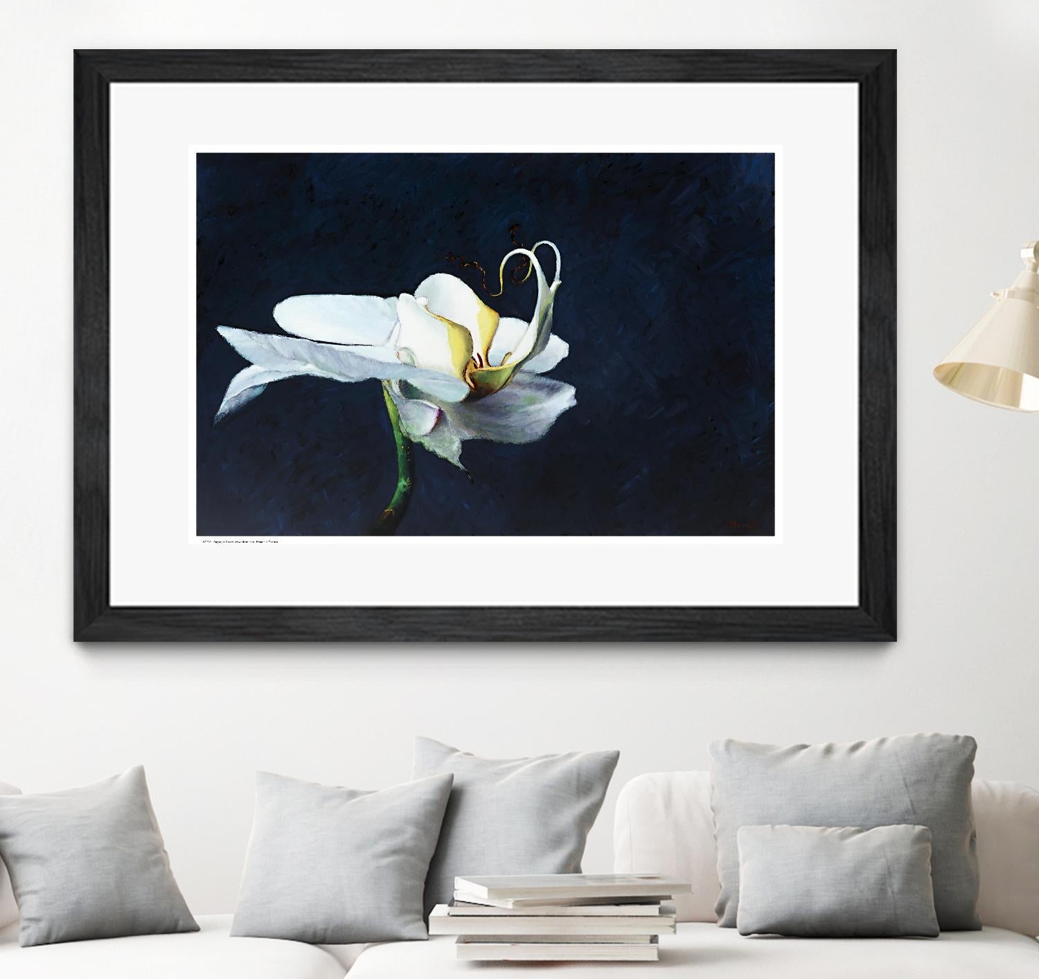 Phalaenopsis blanc by Jocelyne Maucotel on GIANT ART - blue flowers québécois
