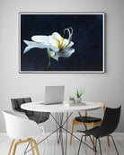 Phalaenopsis blanc by Jocelyne Maucotel on GIANT ART - blue floral