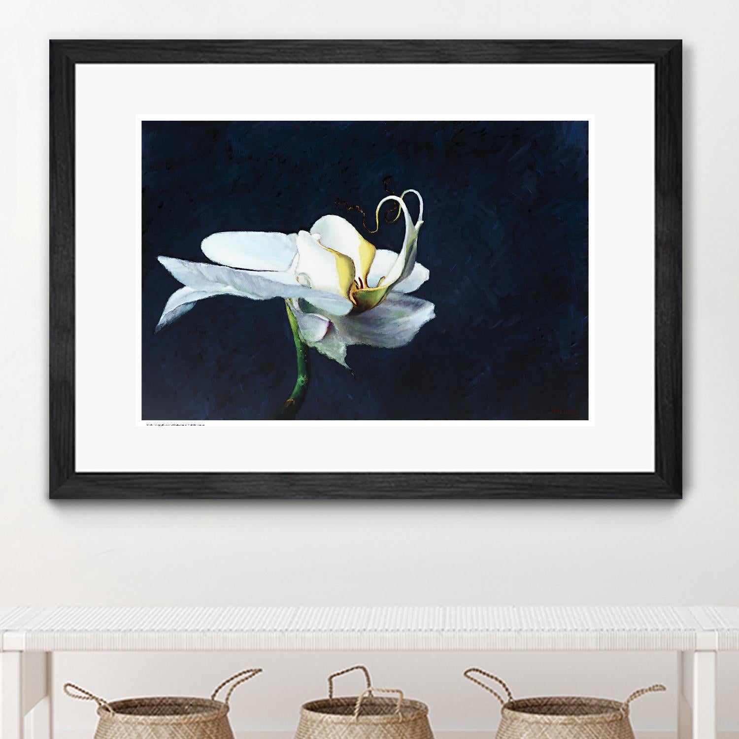 Phalaenopsis blanc by Jocelyne Maucotel on GIANT ART - blue flowers québécois